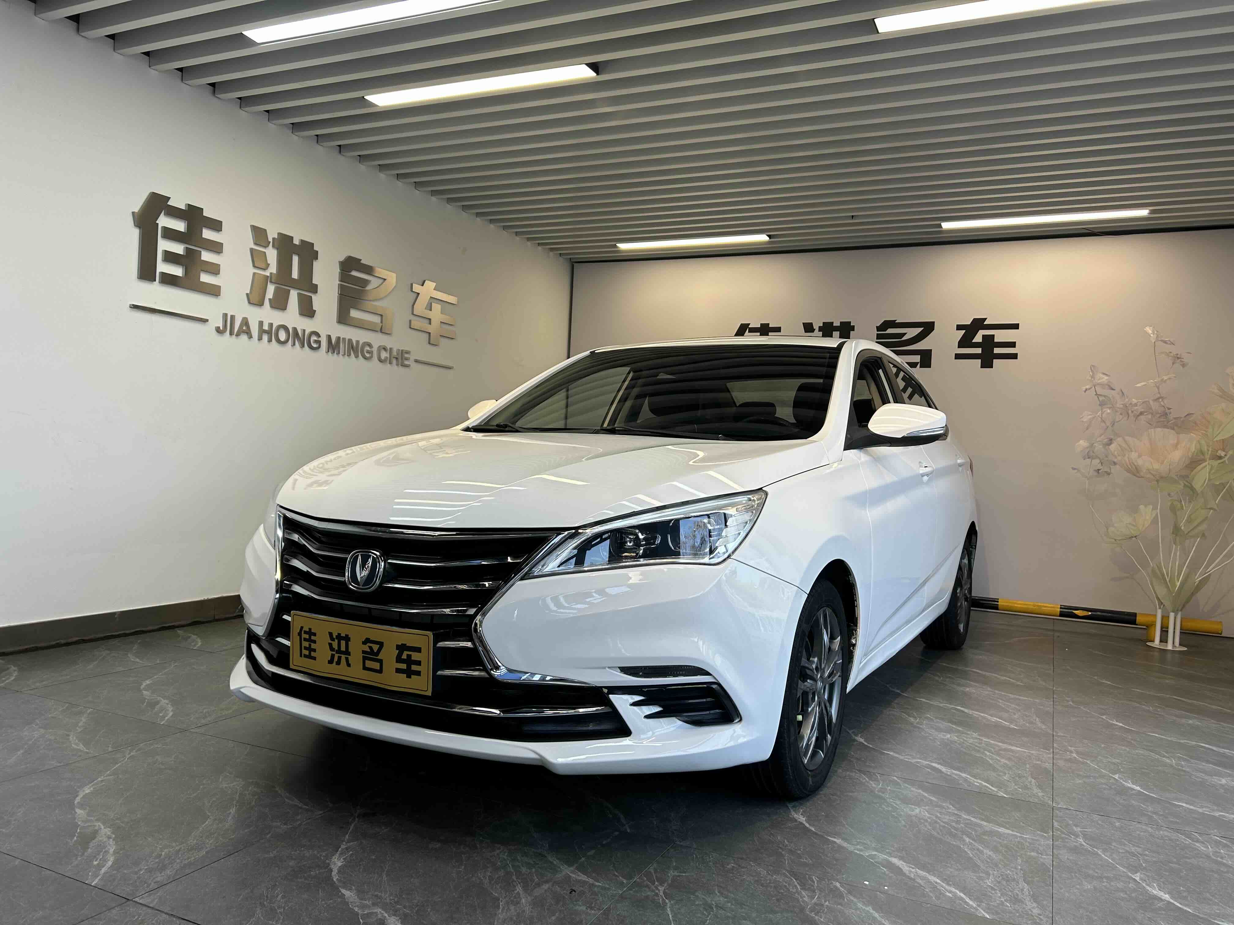 Changan Eado DT 2019 car image 