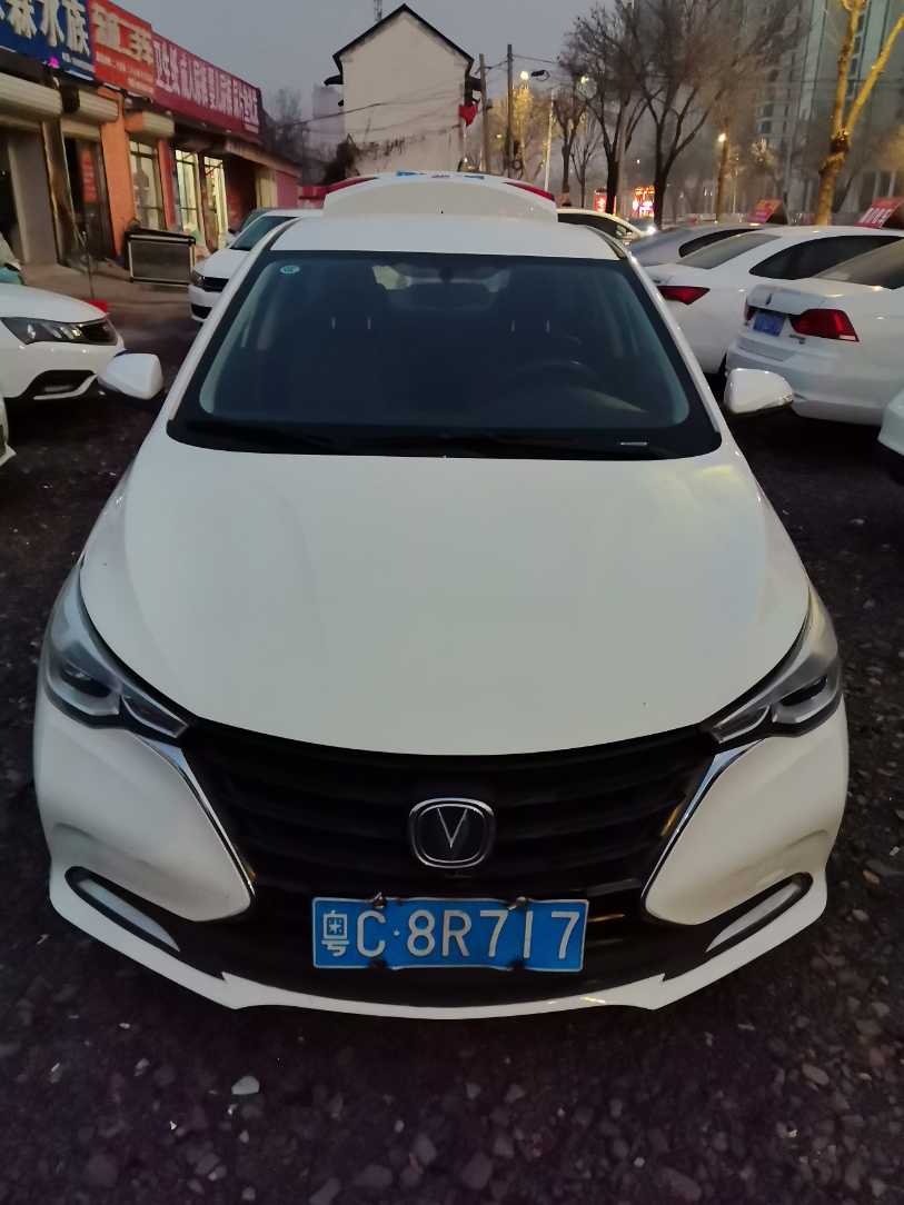 Changan Alsvin 2020 immagine di auto 