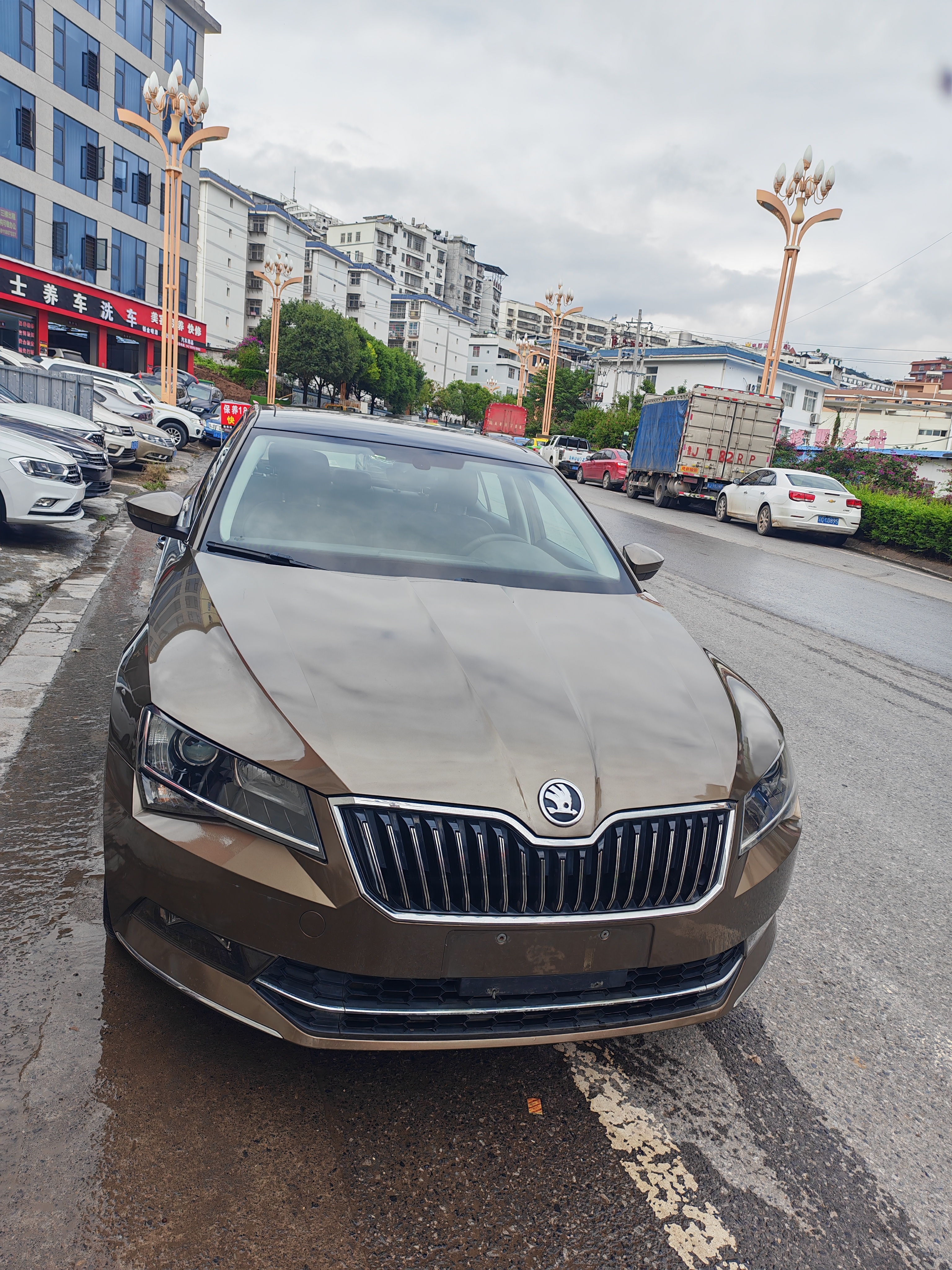 Skoda Superb 2019 汽车图片 