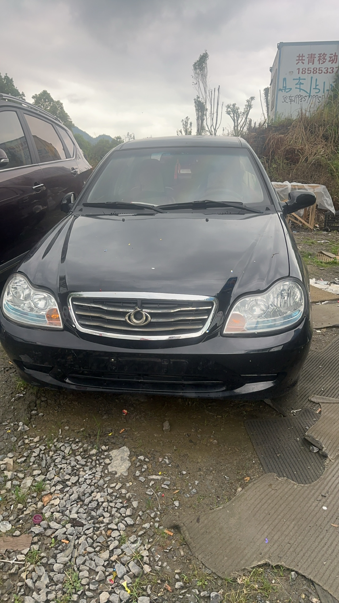 GEELY Golden Eagle 2012 GEELY Golden Eagle 2012 immagine di auto