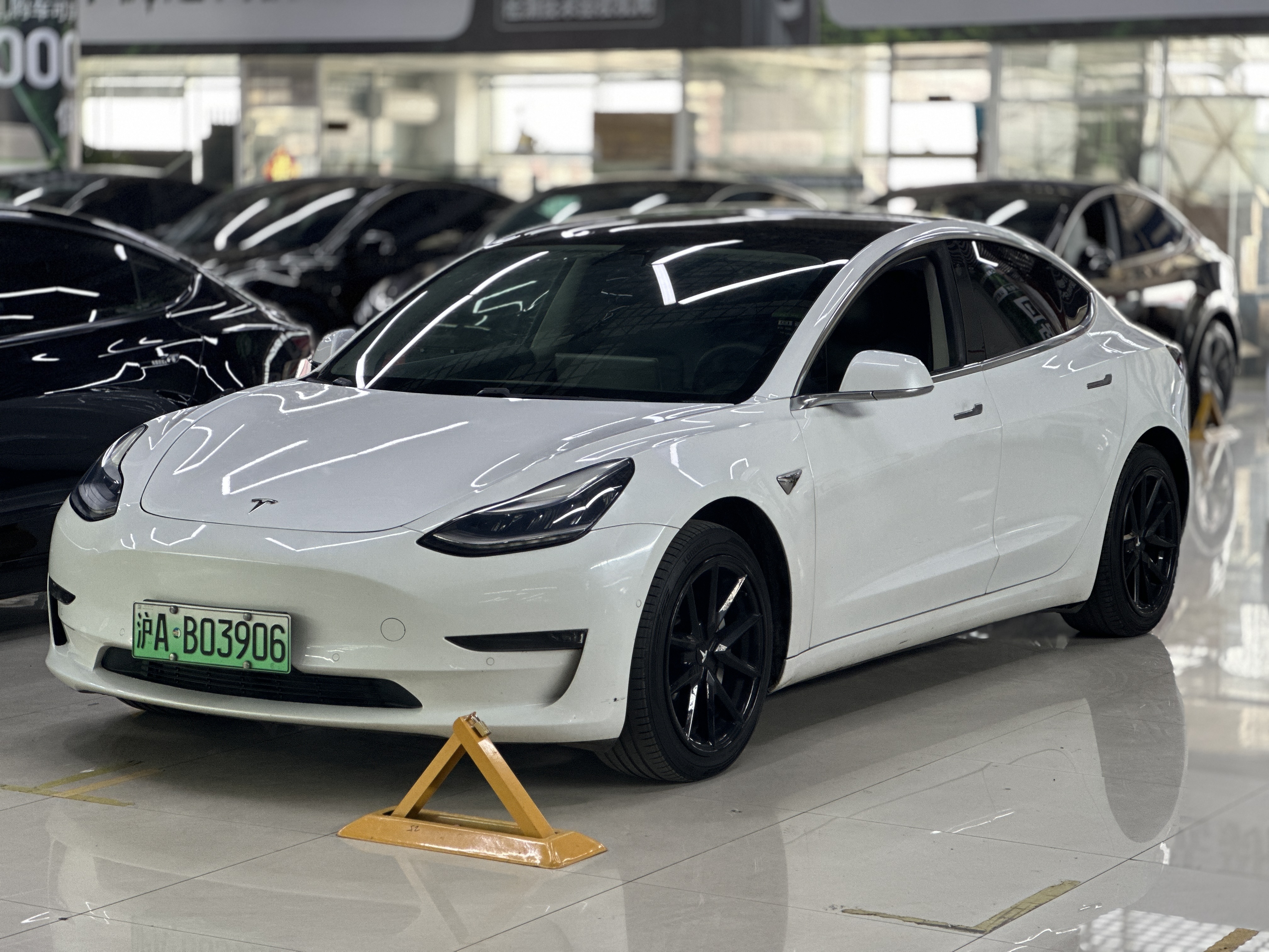 Tesla Model 3 (Imported) 2019 汽车图片 