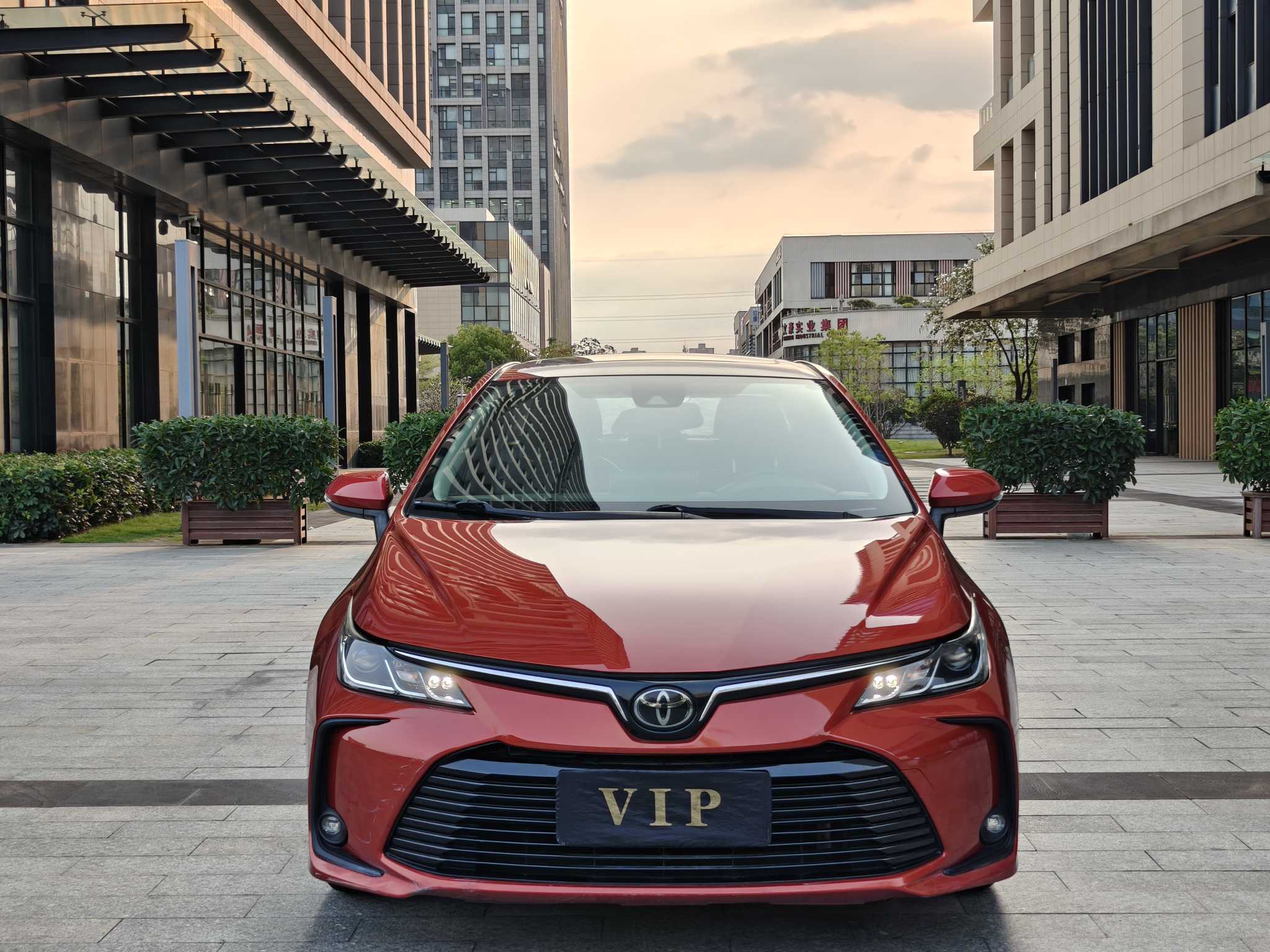 Toyota Corolla 2019 car image 