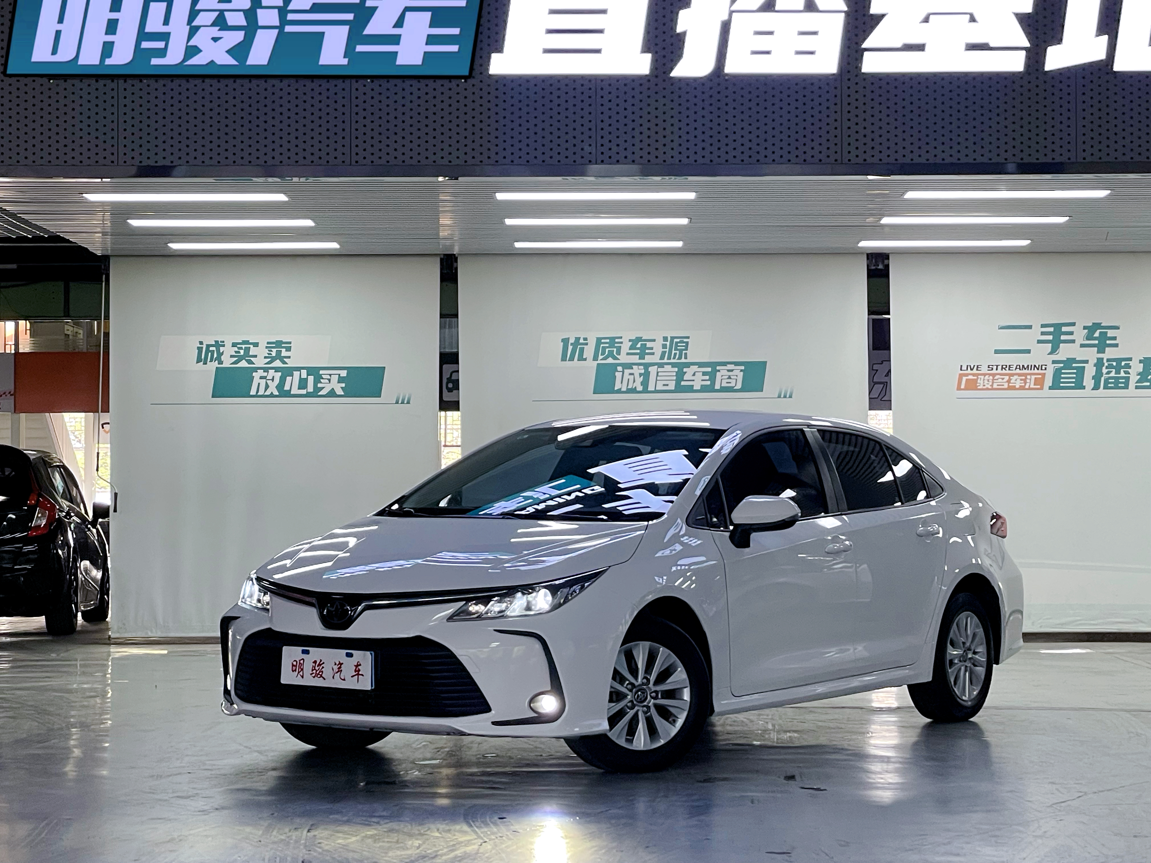 卡罗拉 2020 汽车图片 