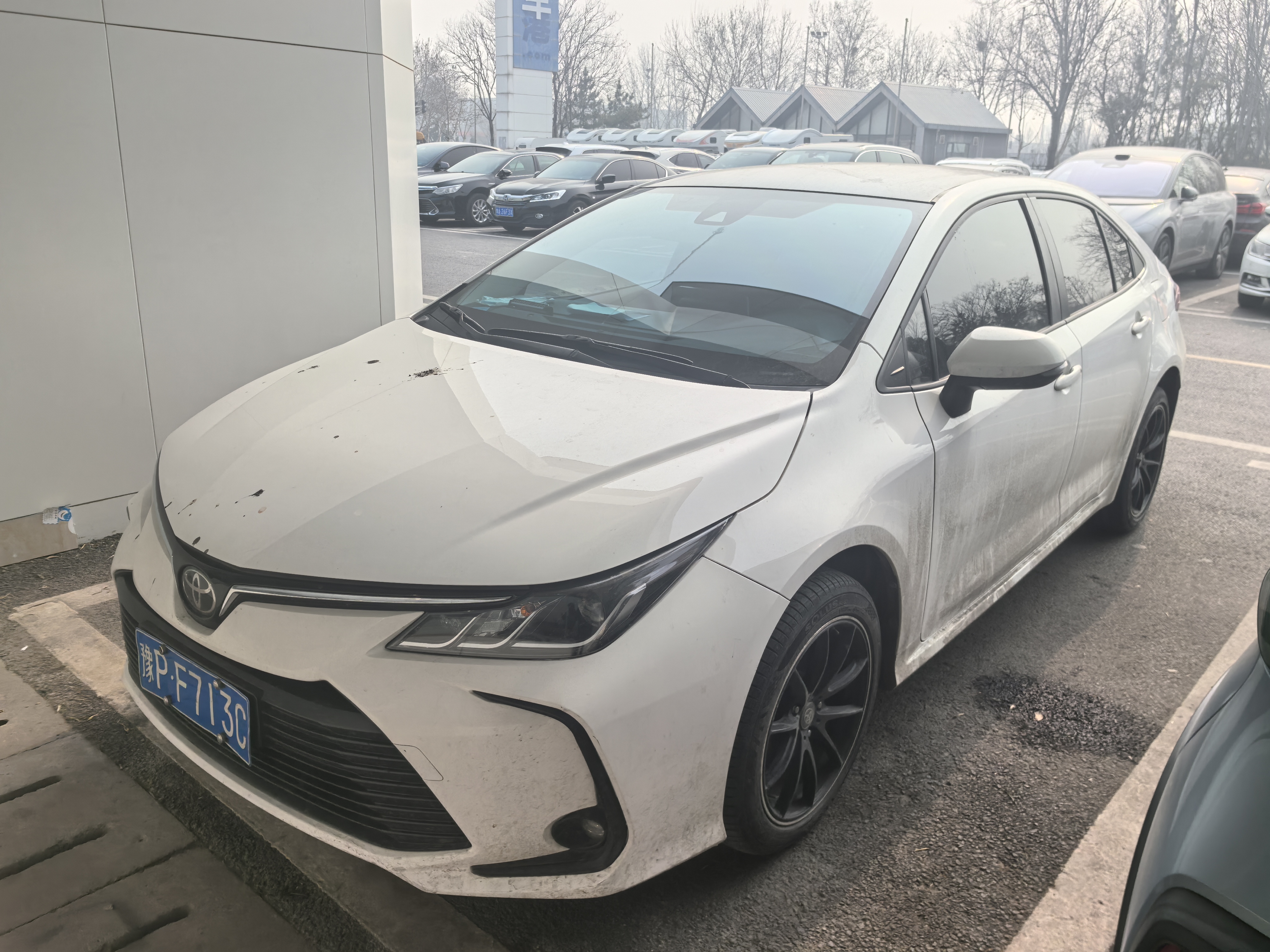 Toyota Corolla 2019 Toyota Corolla 2019 car image