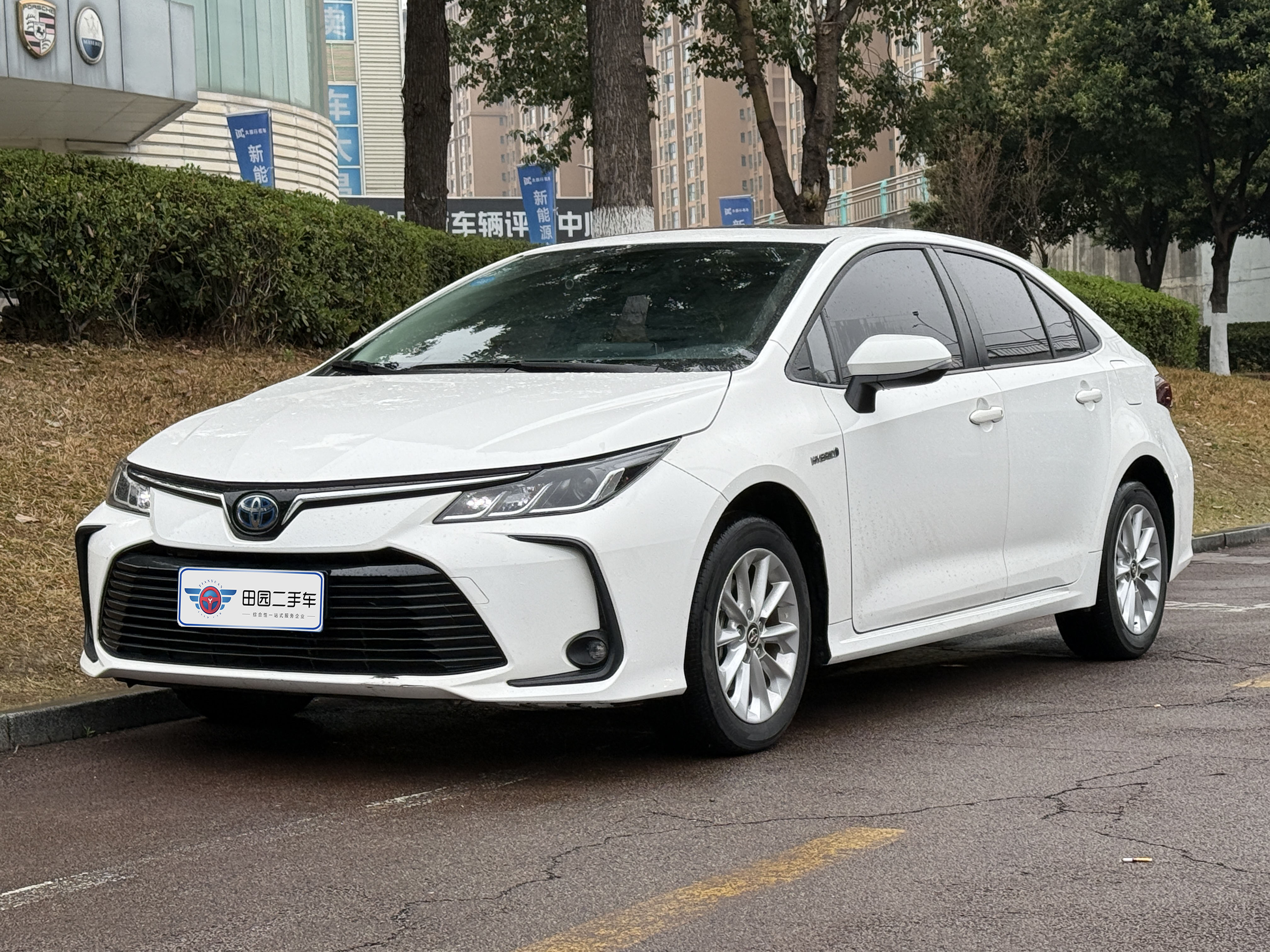 Corolla 2019 car image 