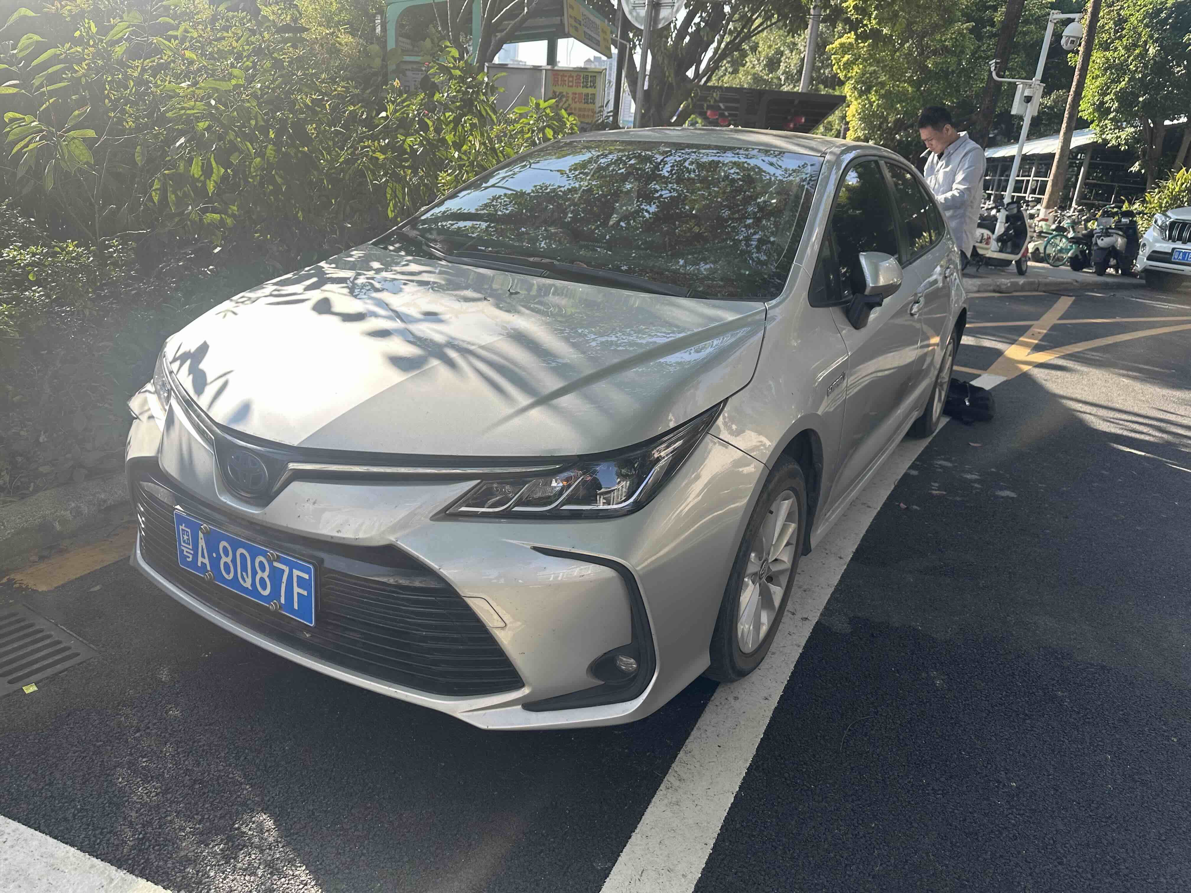 Toyota Corolla 2019 Toyota Corolla 2019 car image