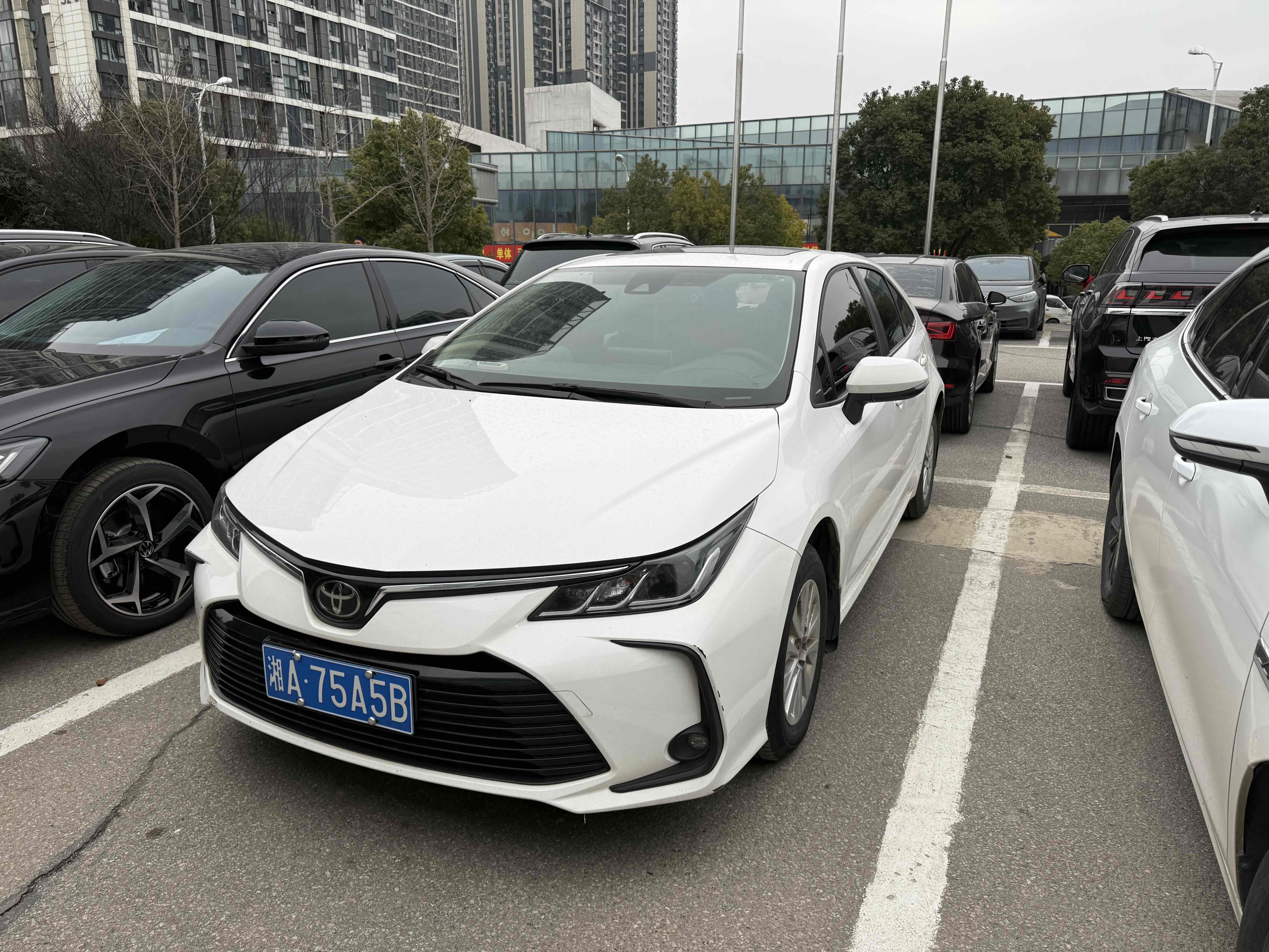 Corolla 2019 immagine di auto 