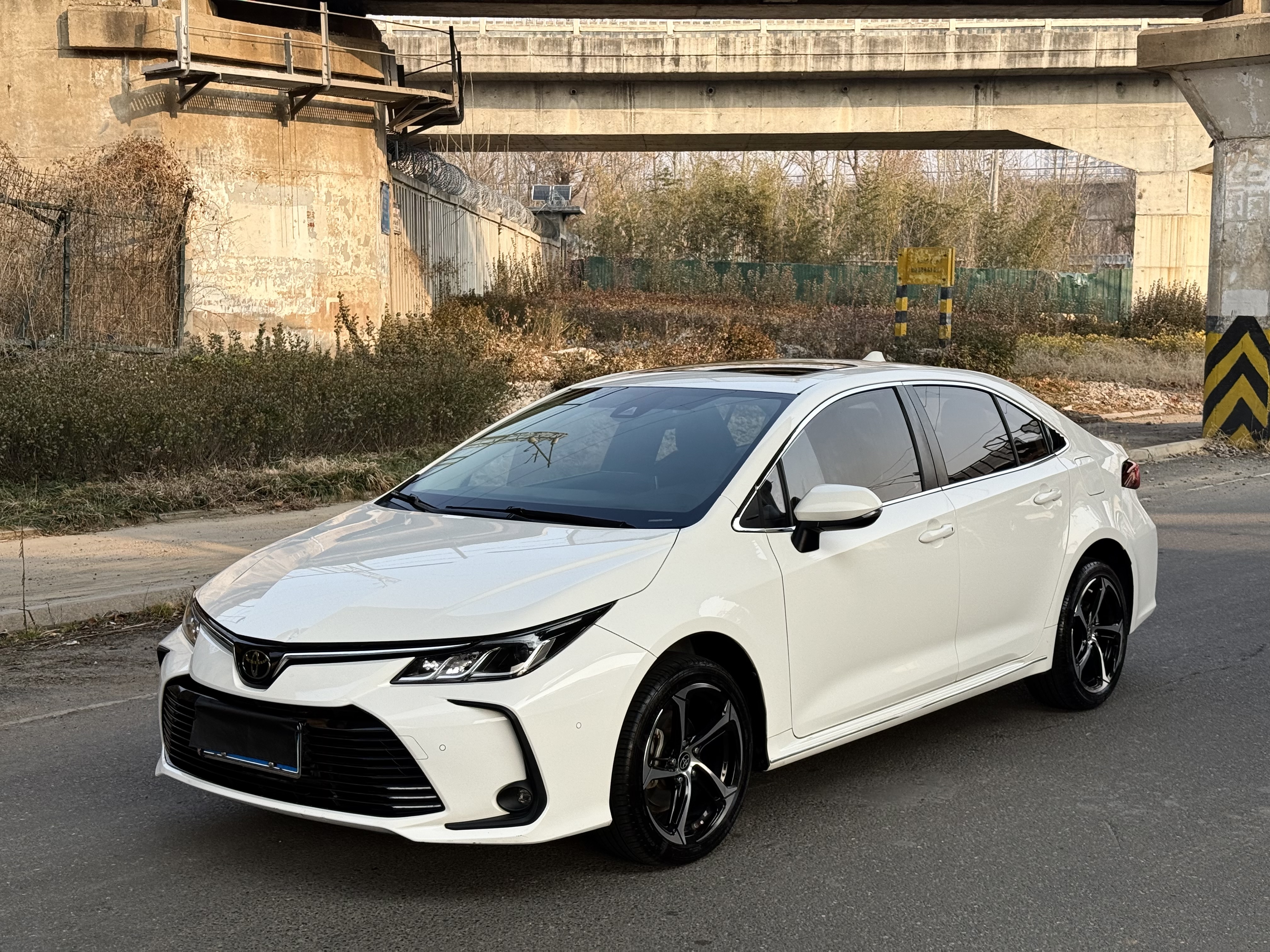 Corolla 2020 car image 