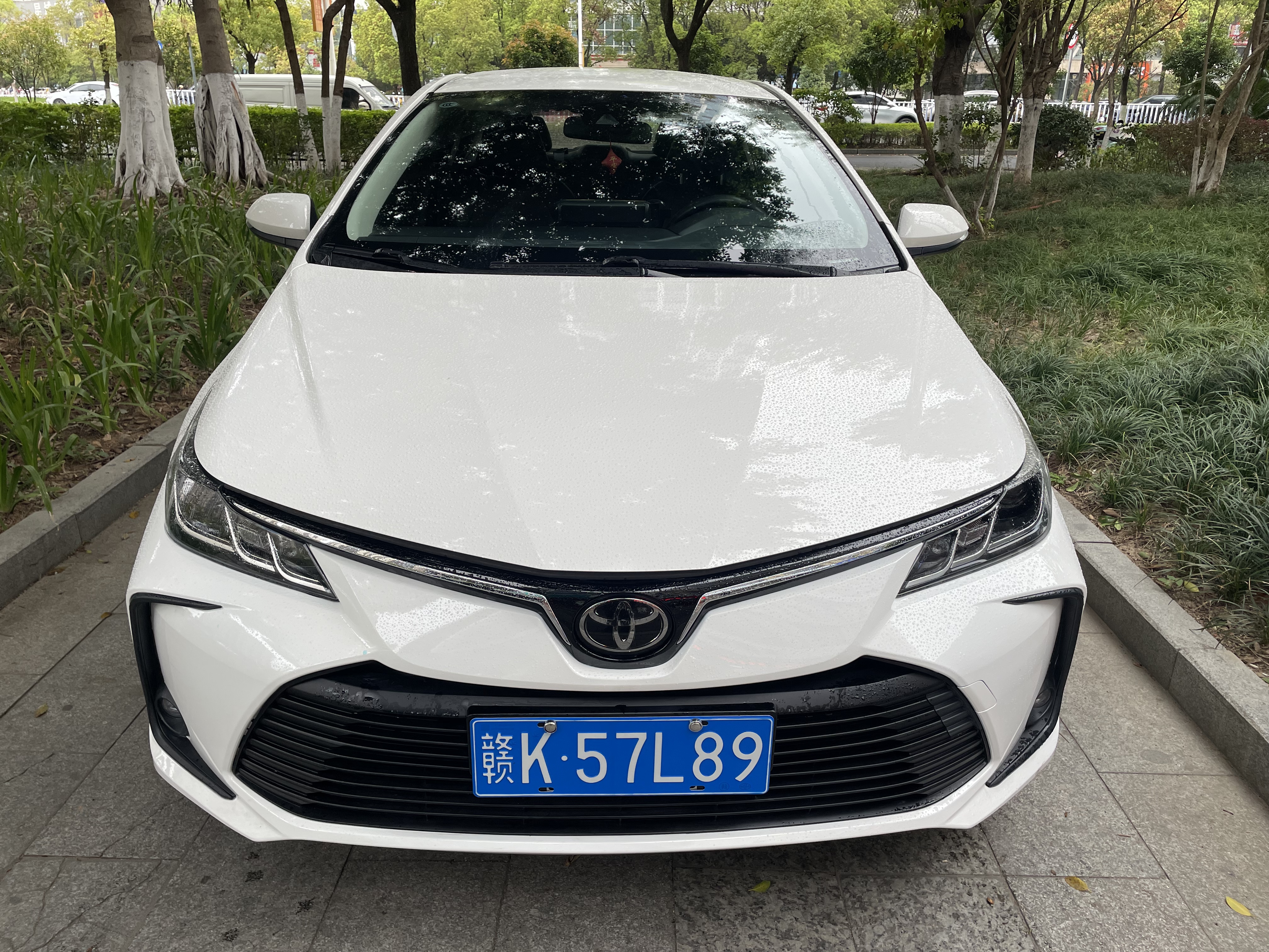 Corolla 2021 car image 