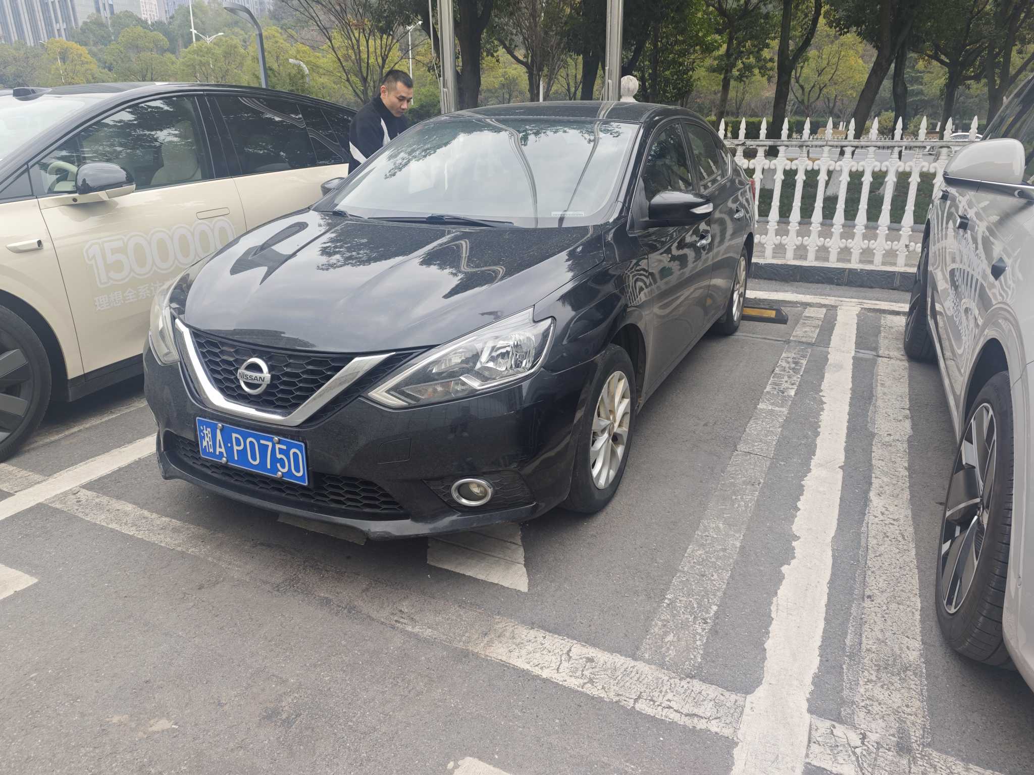 Nissan Sylphy 2019 car image 