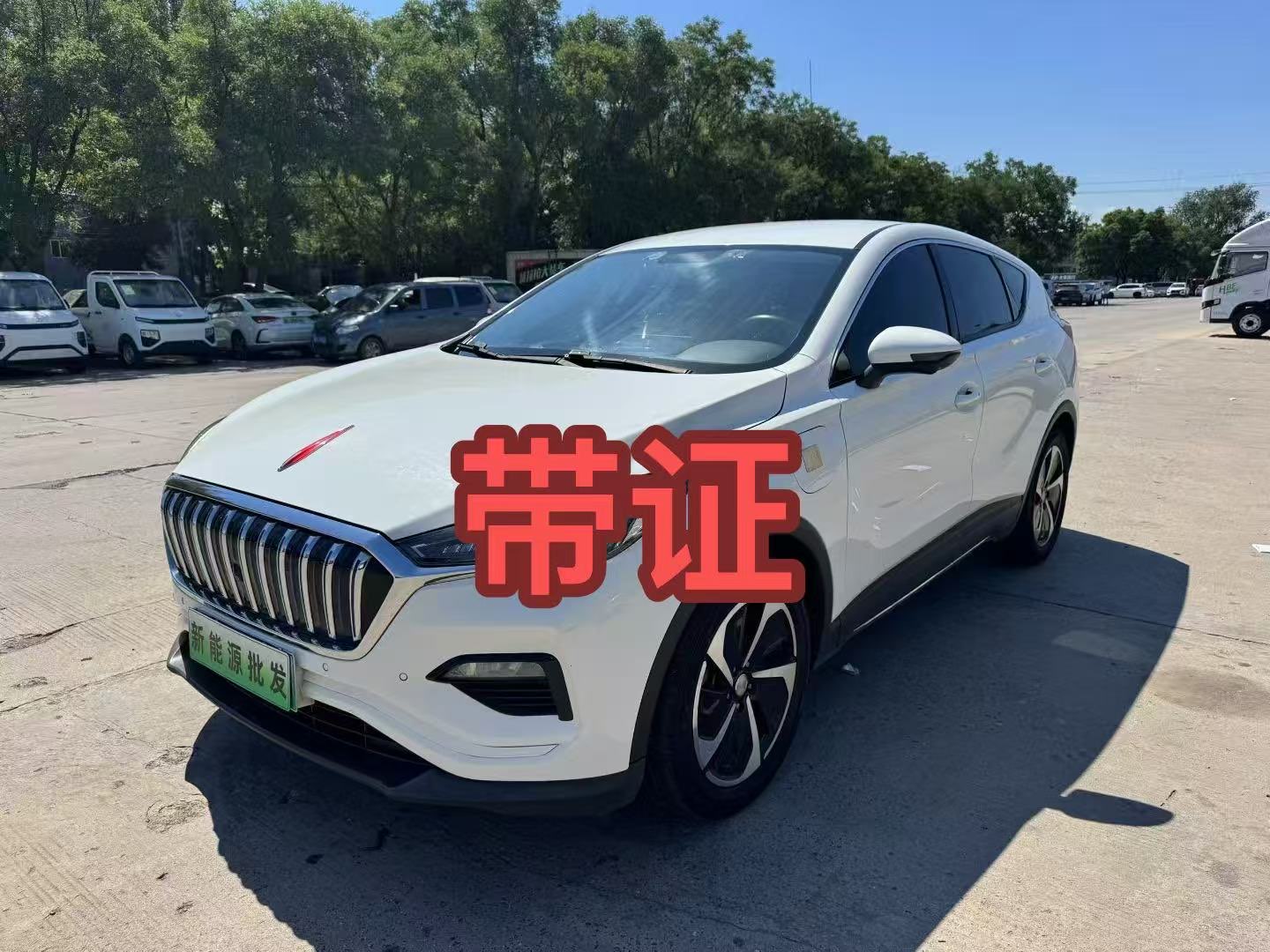 HongQi E-HS3 2020 car image 