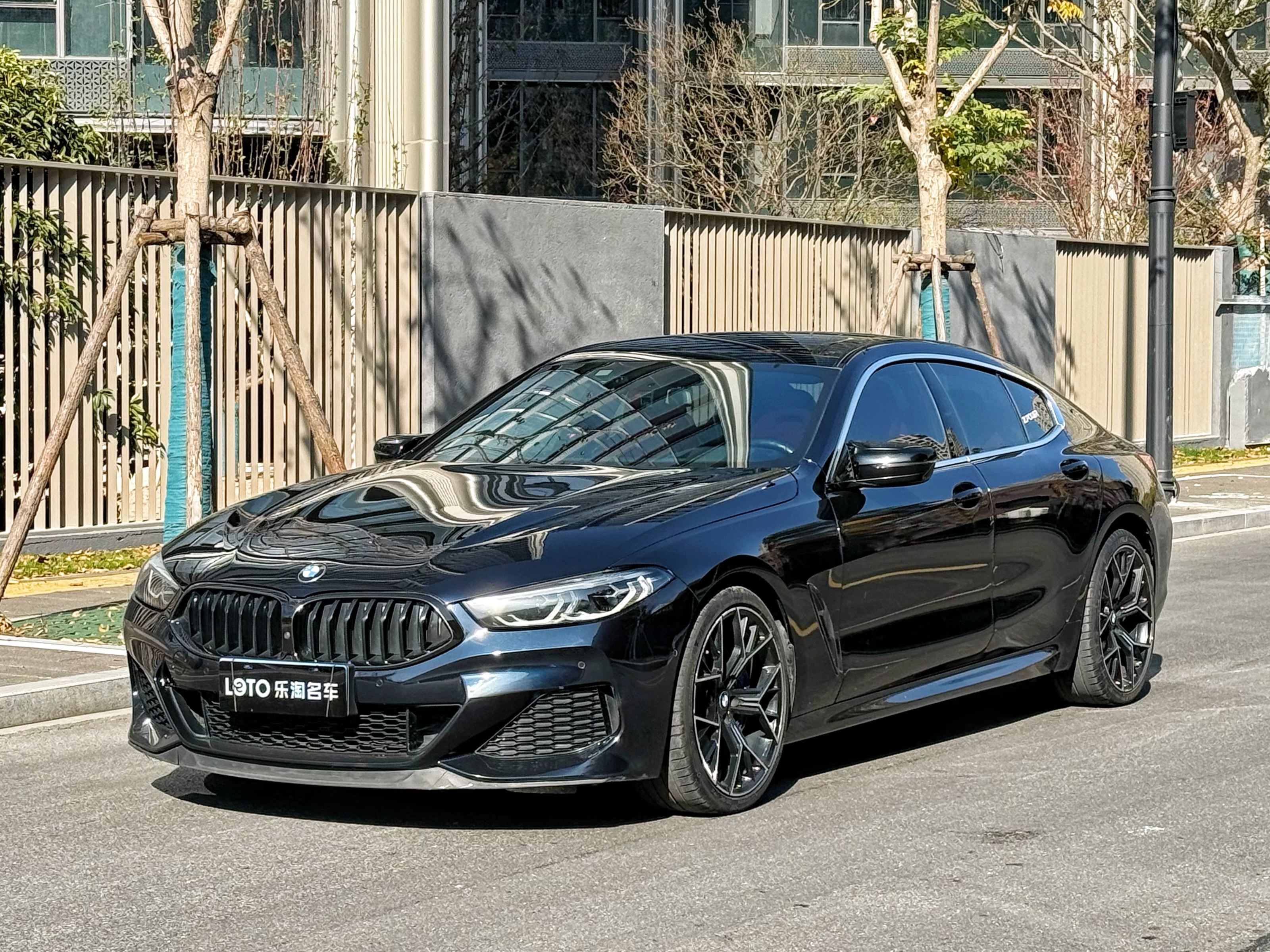 BMW 8 Series 2020 car image 