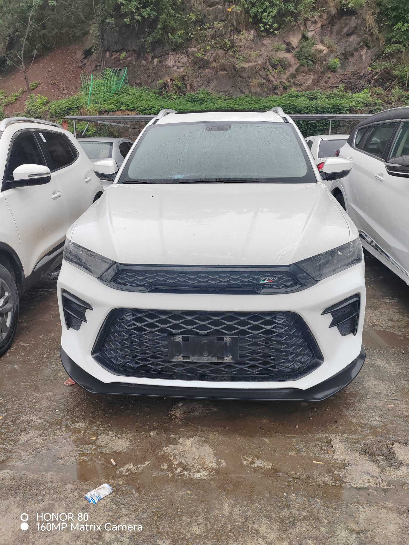 SWM G05 2019 SWM G05 2019 汽车图片