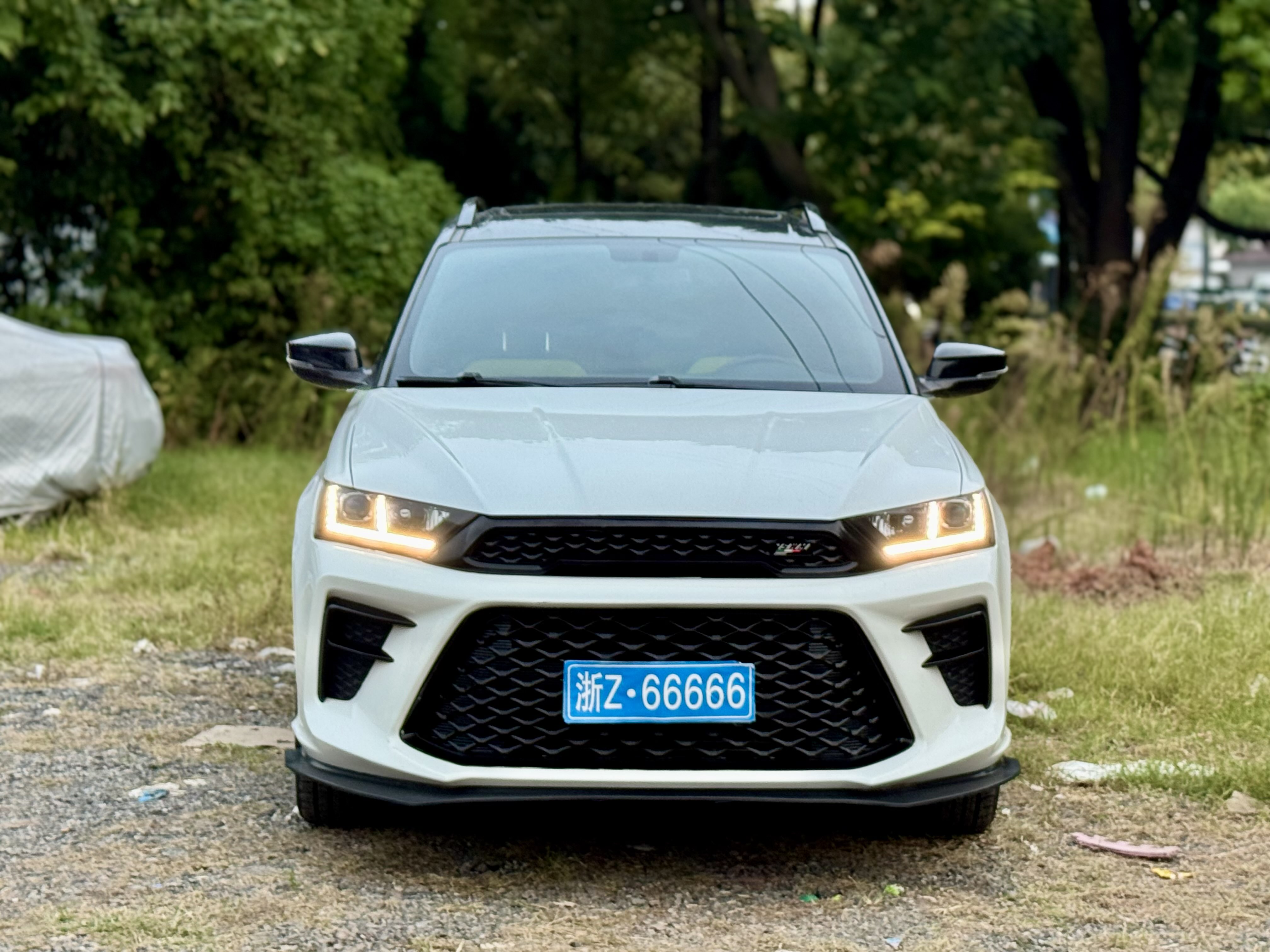 SWM G01 2019 SWM G01 2019 汽车图片