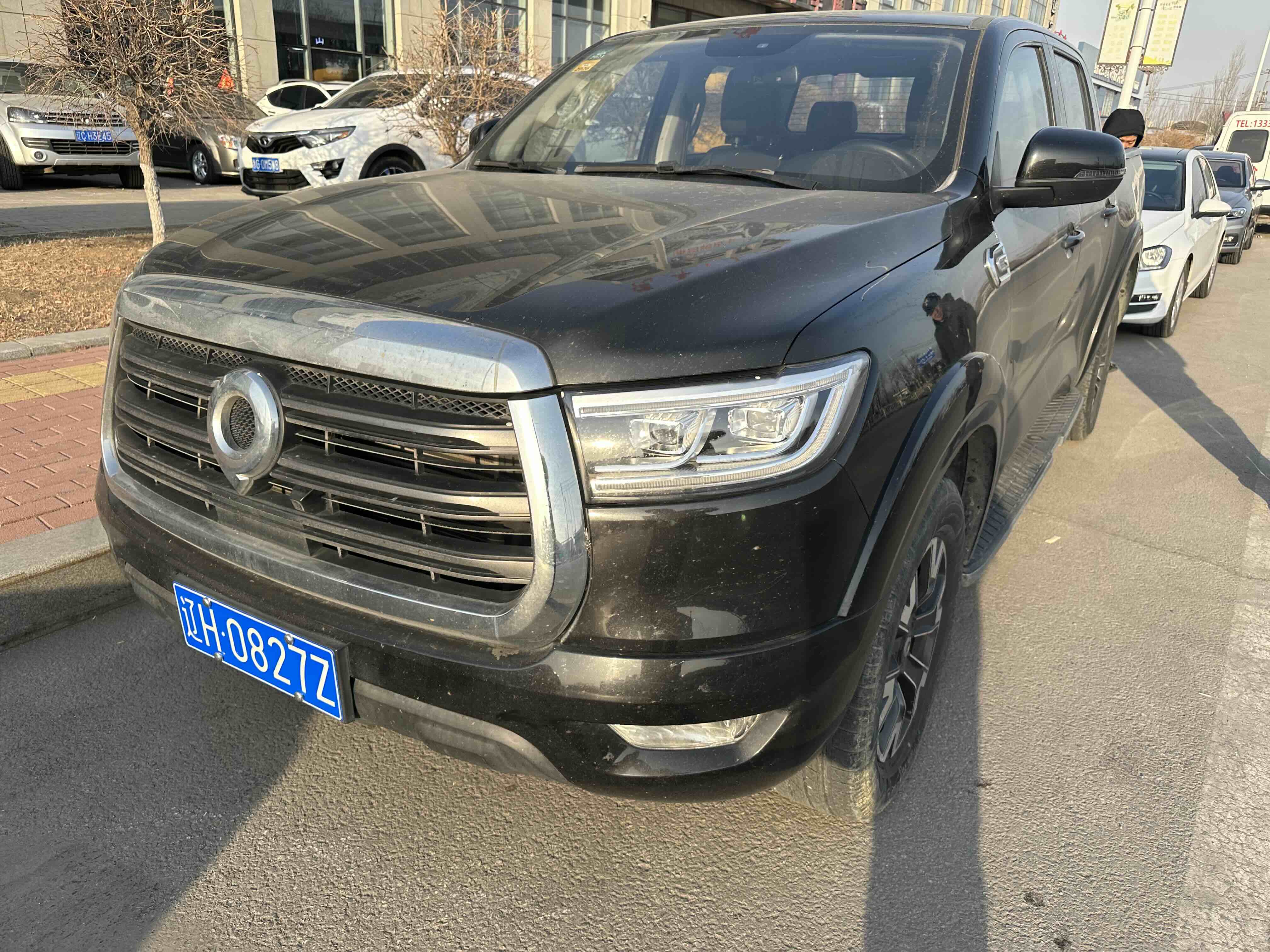 Great Wall Poer 2020 car image 
