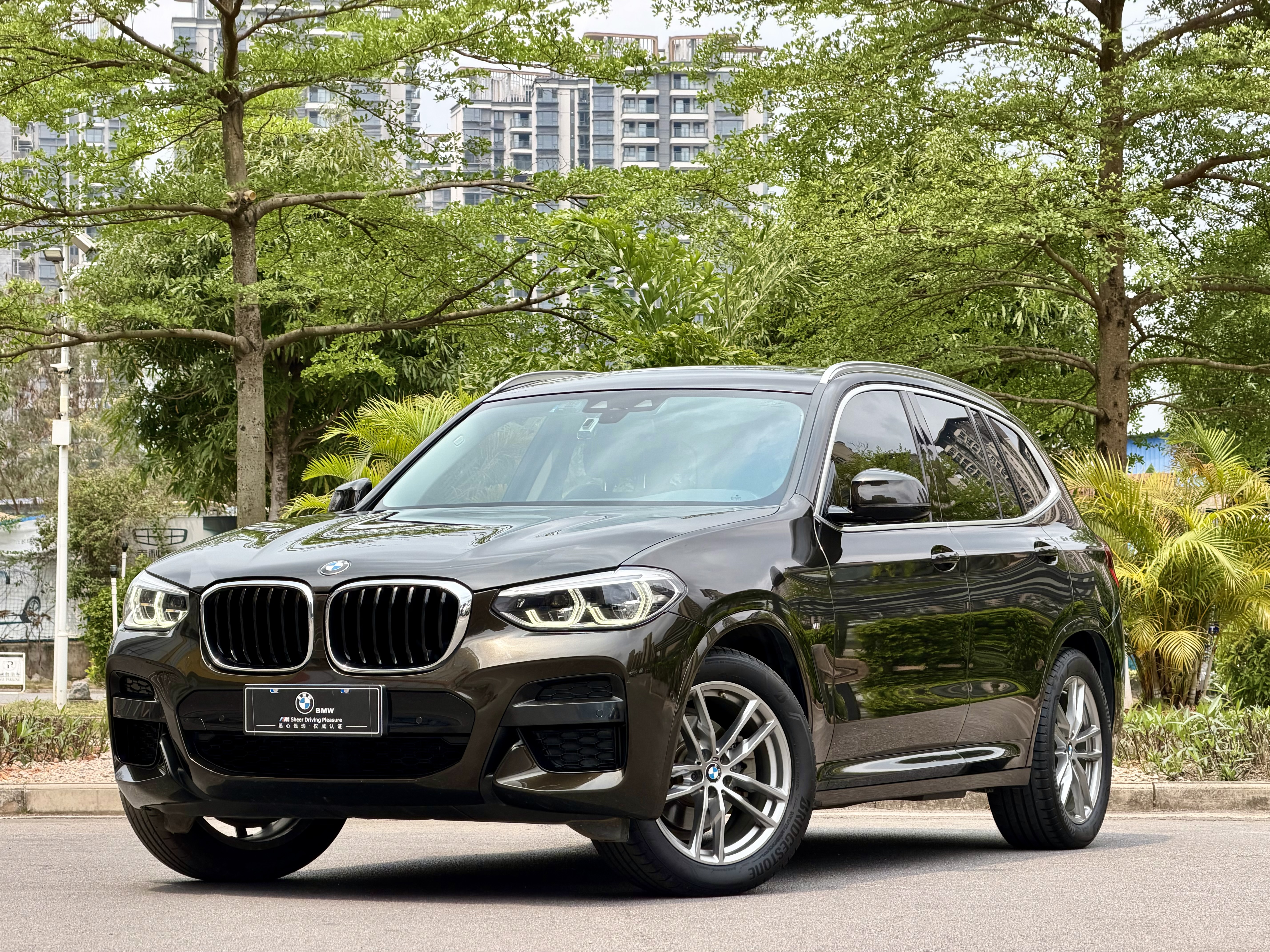 BMW X3 2020 immagine di auto 