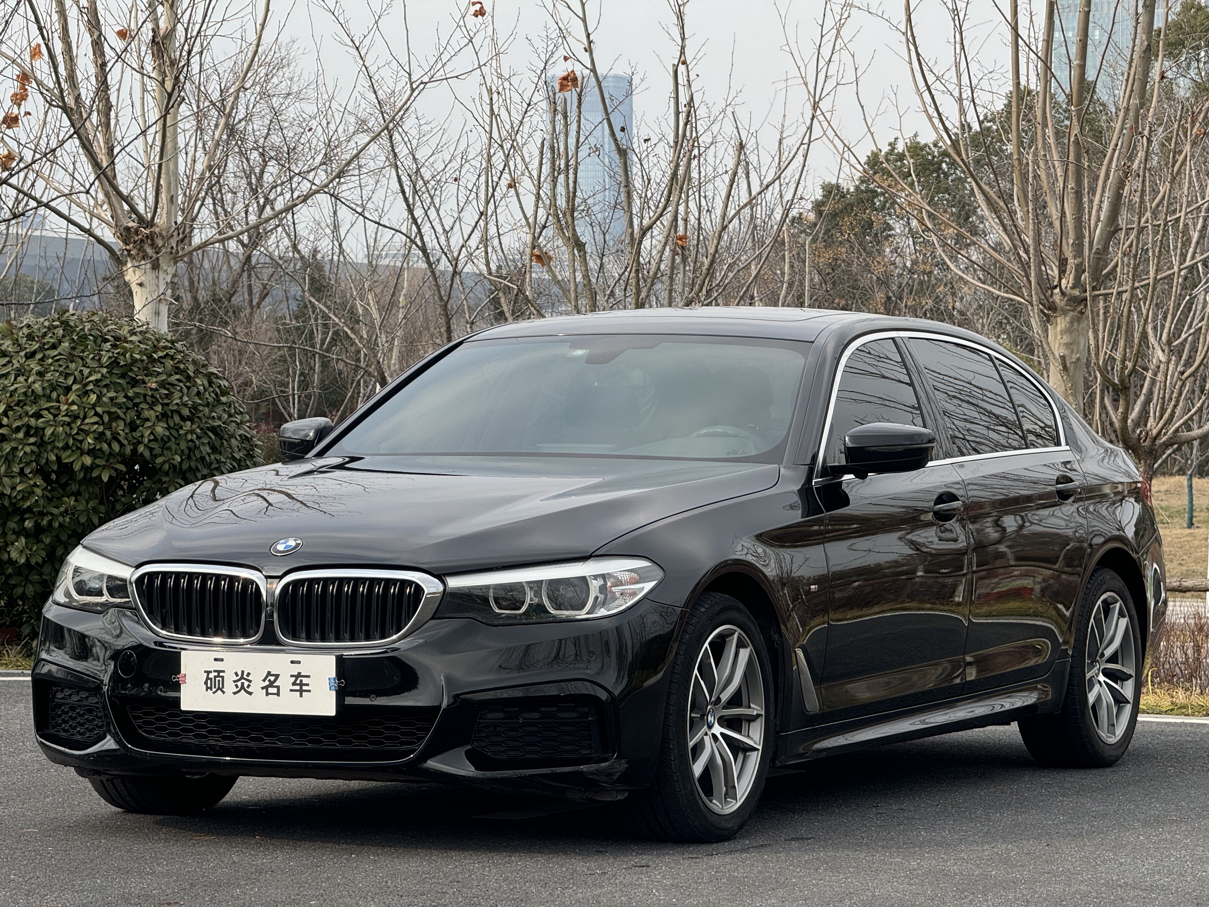 BMW 5 Series 2019 BMW 5 Series 2019 car image
