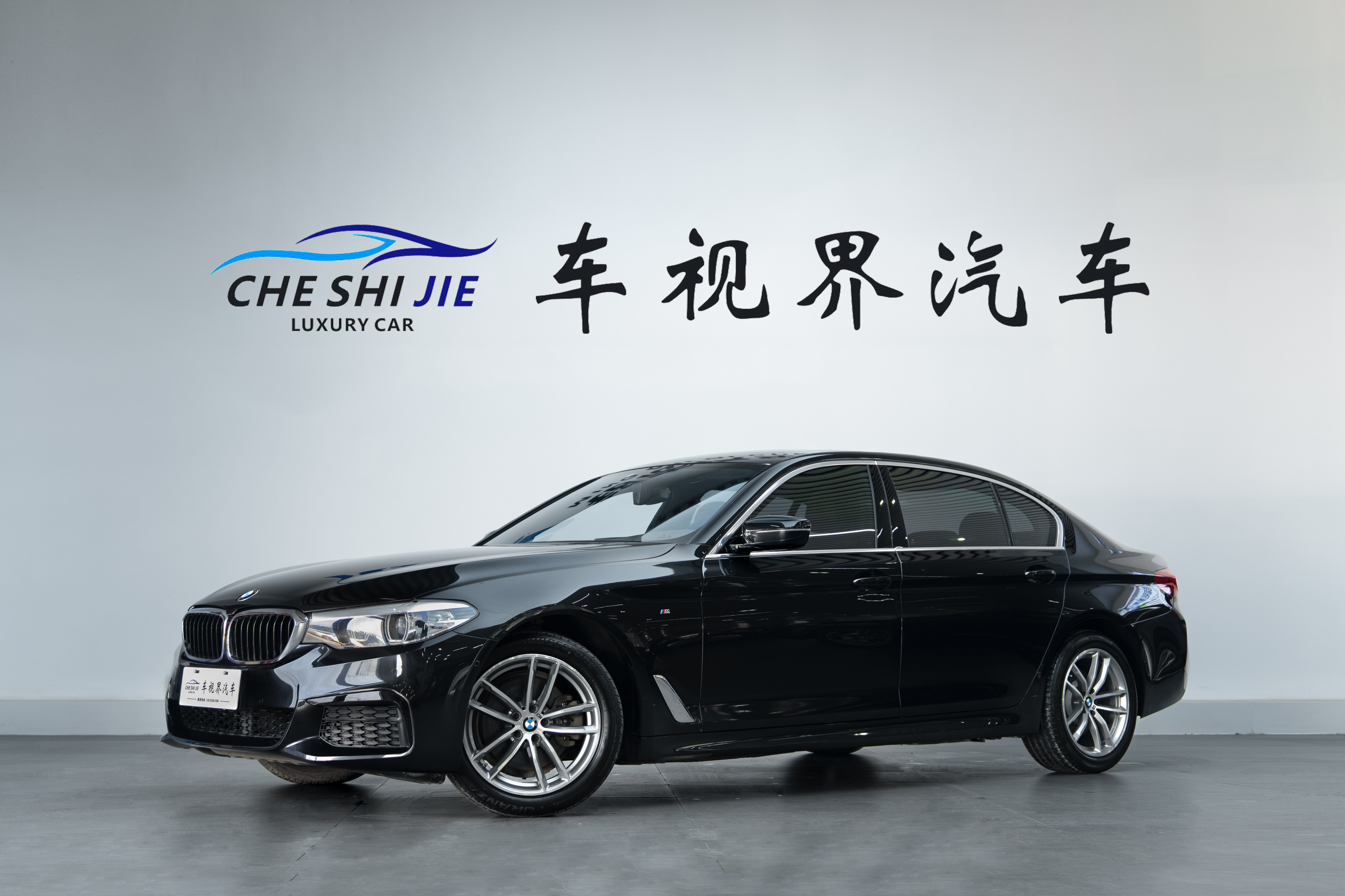 BMW 5 Series 2020 BMW 5 Series 2020 car image