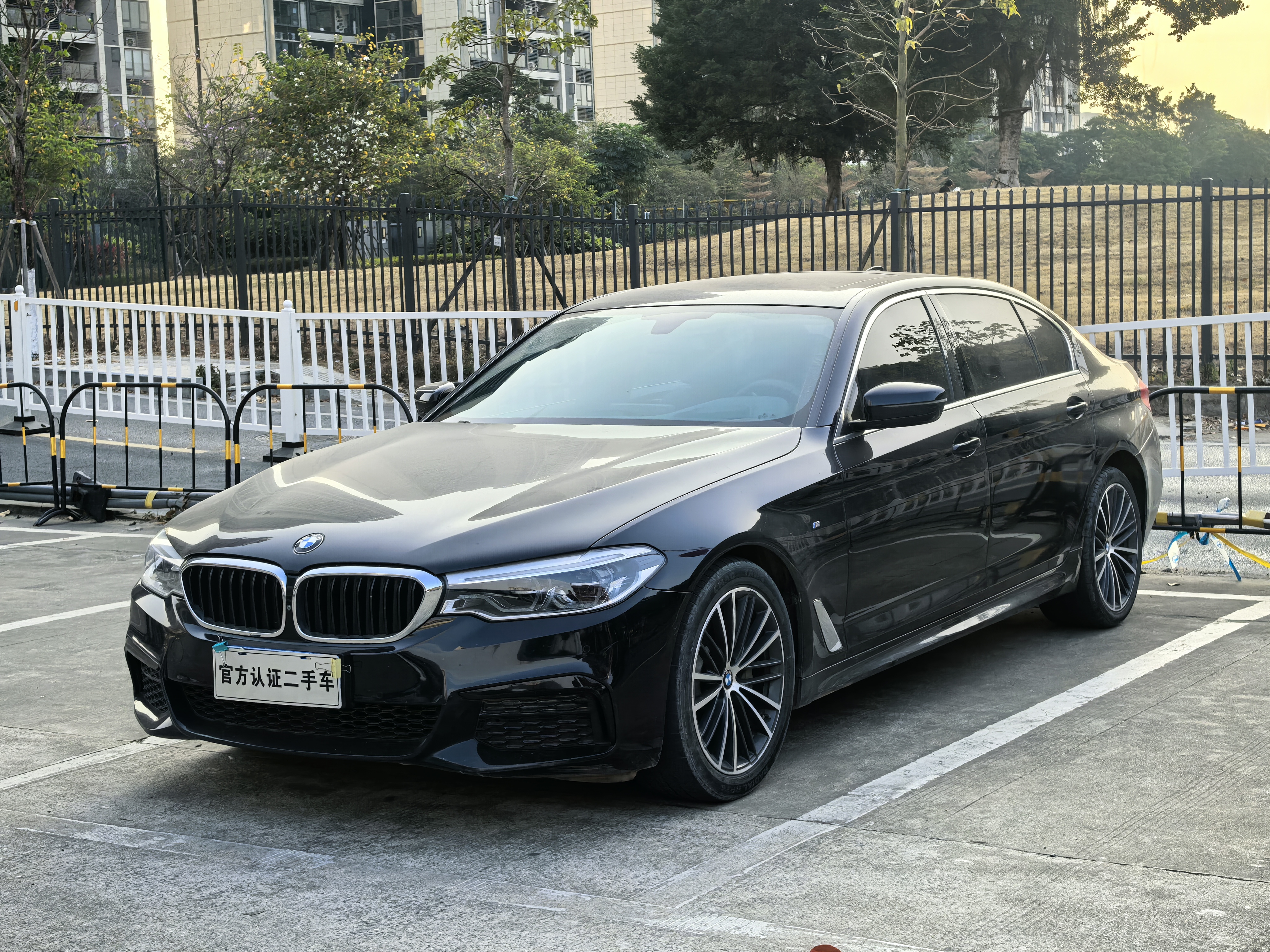 BMW 5 Series 2020 car image 