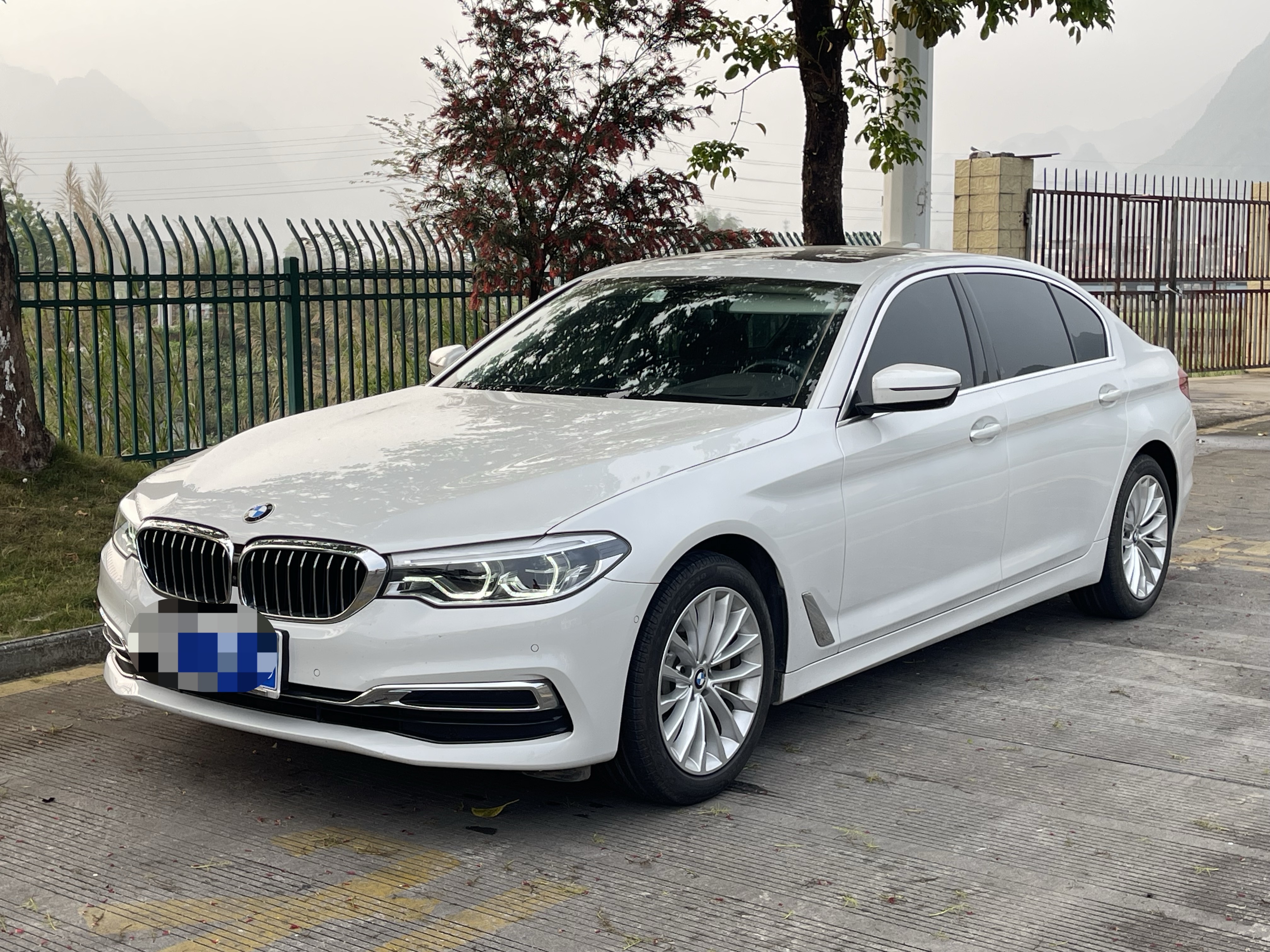BMW 5 Series 2020 汽车图片 