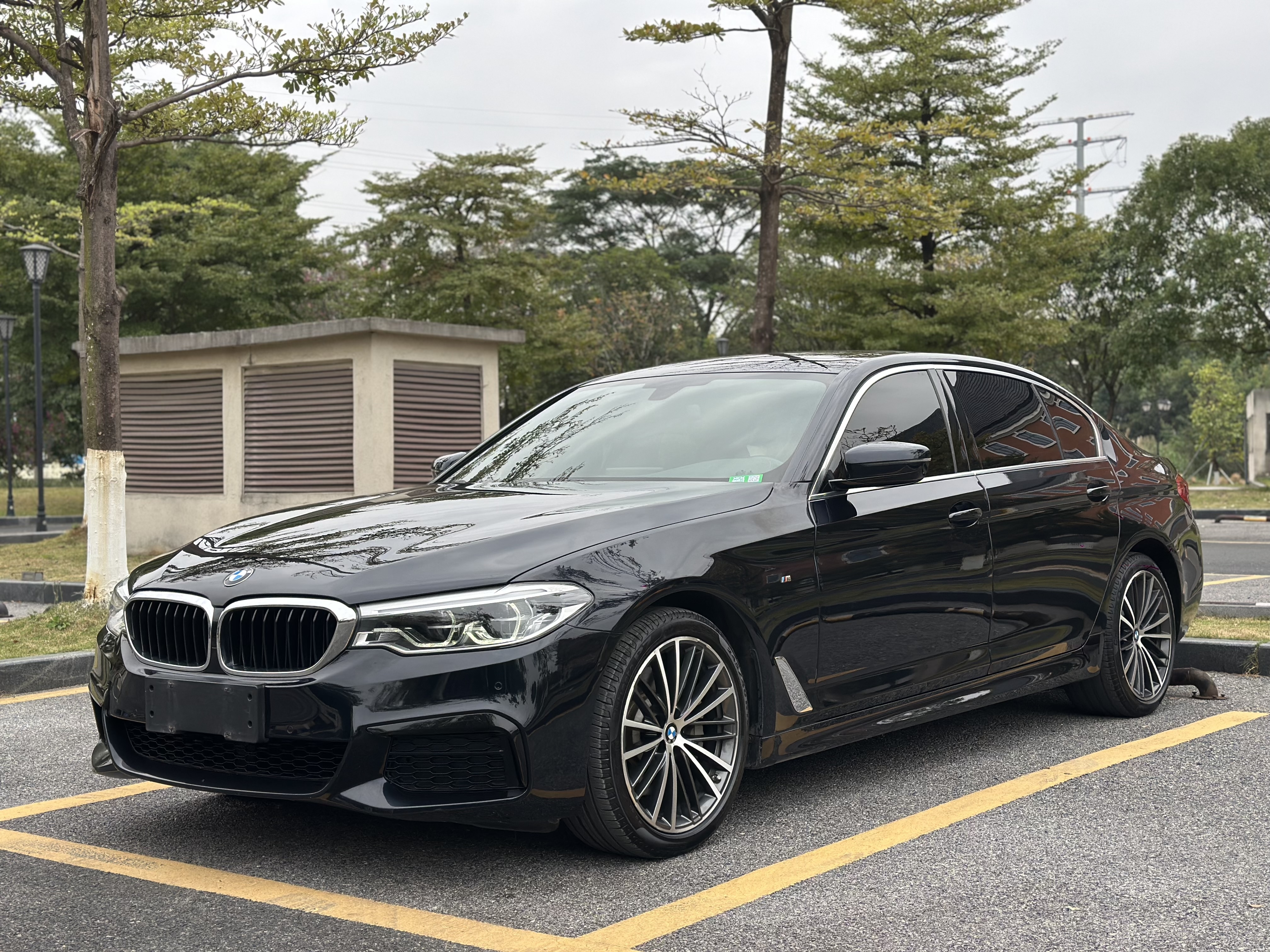 BMW 5 Series 2020 BMW 5 Series 2020 car image