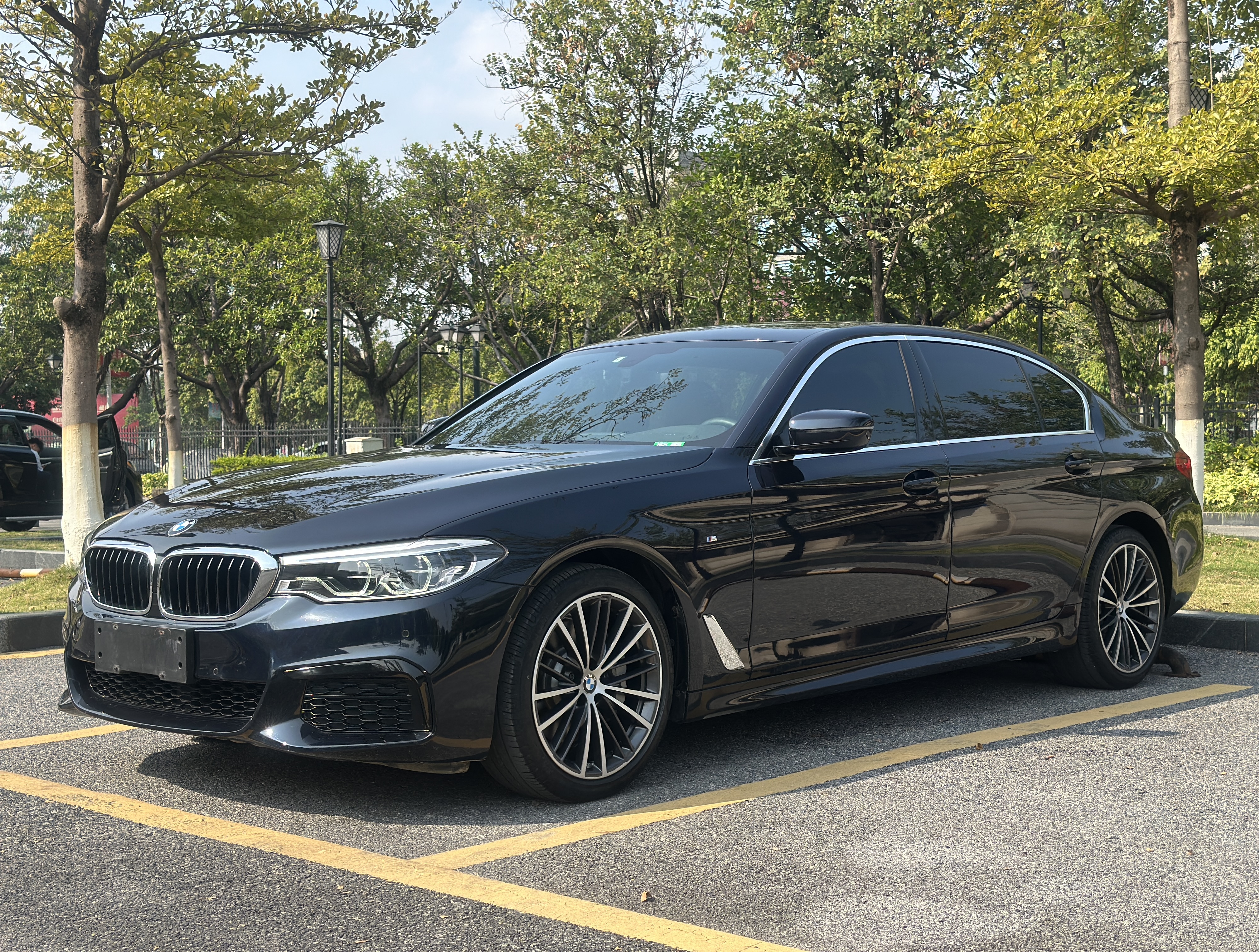 BMW 5 Series 2020 BMW 5 Series 2020 car image