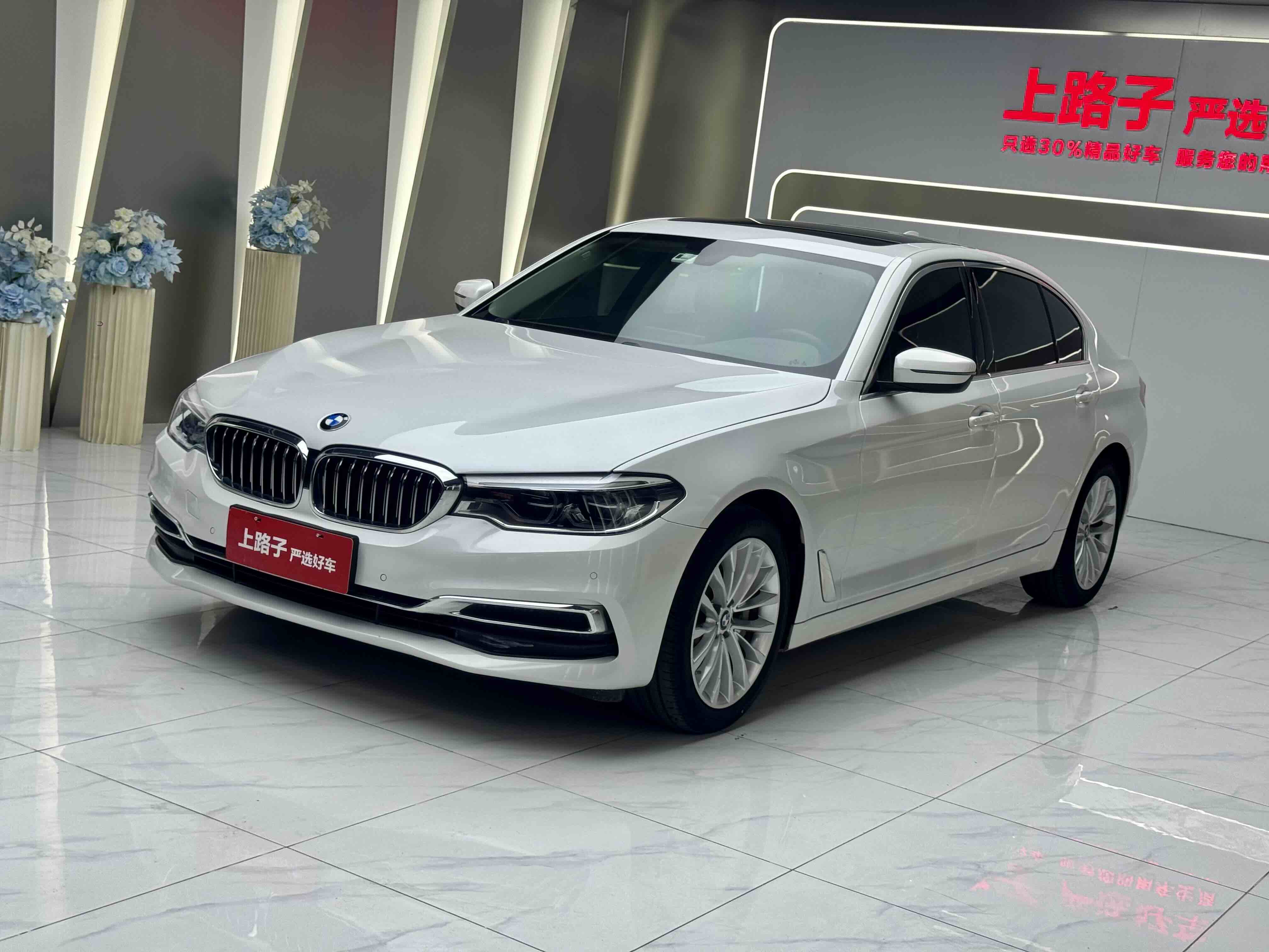 BMW 5 Series 2020 car image 