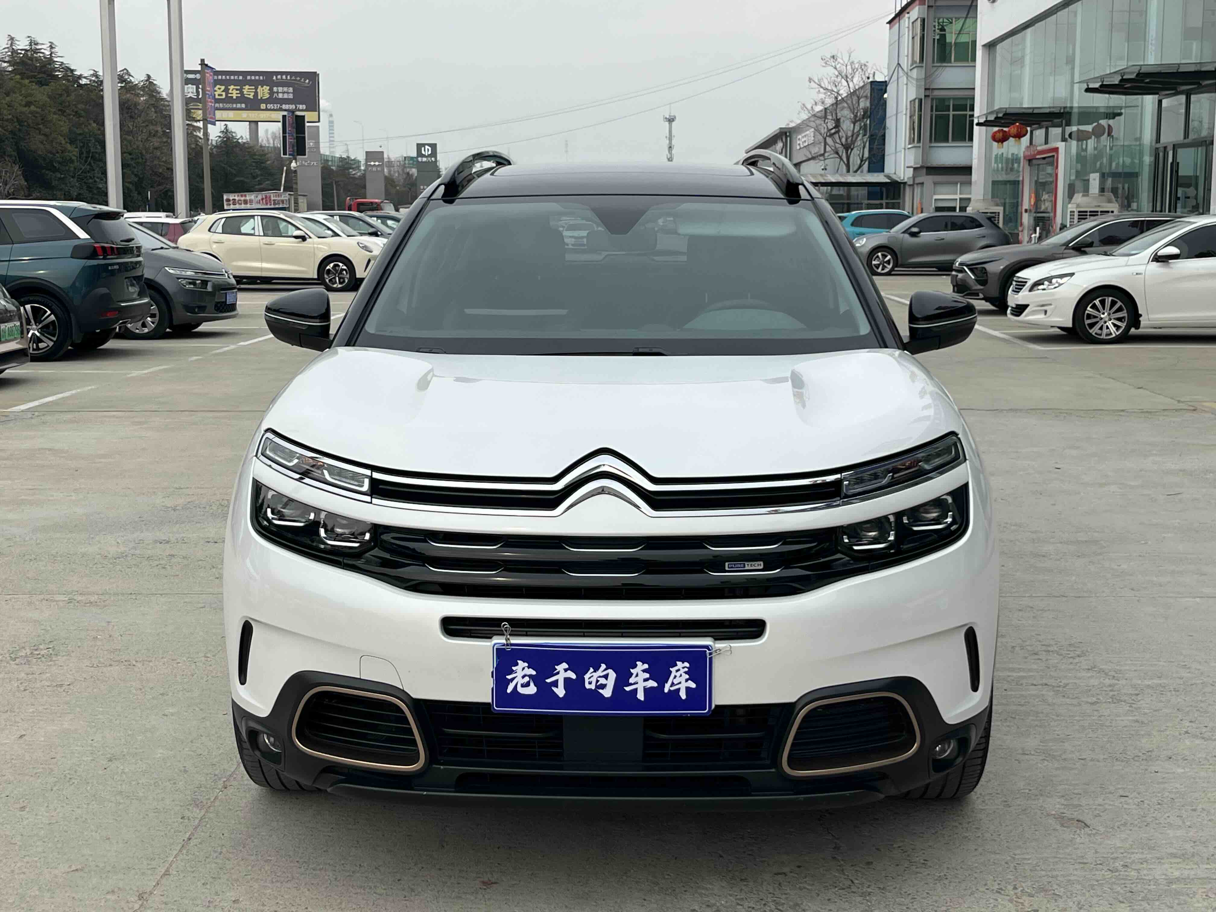 Citroen C5 AIRCROSS 2020 car image 