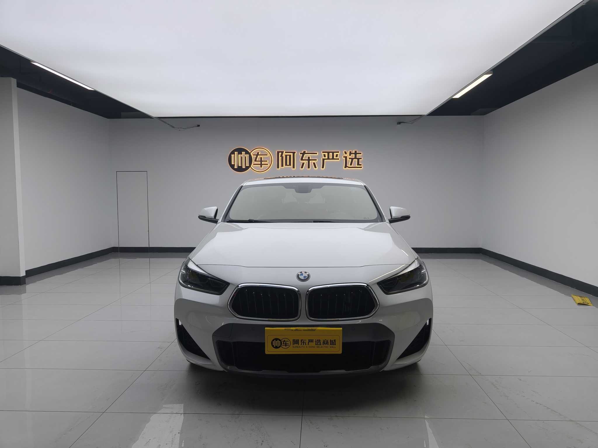 BMW X2 2020 car image 