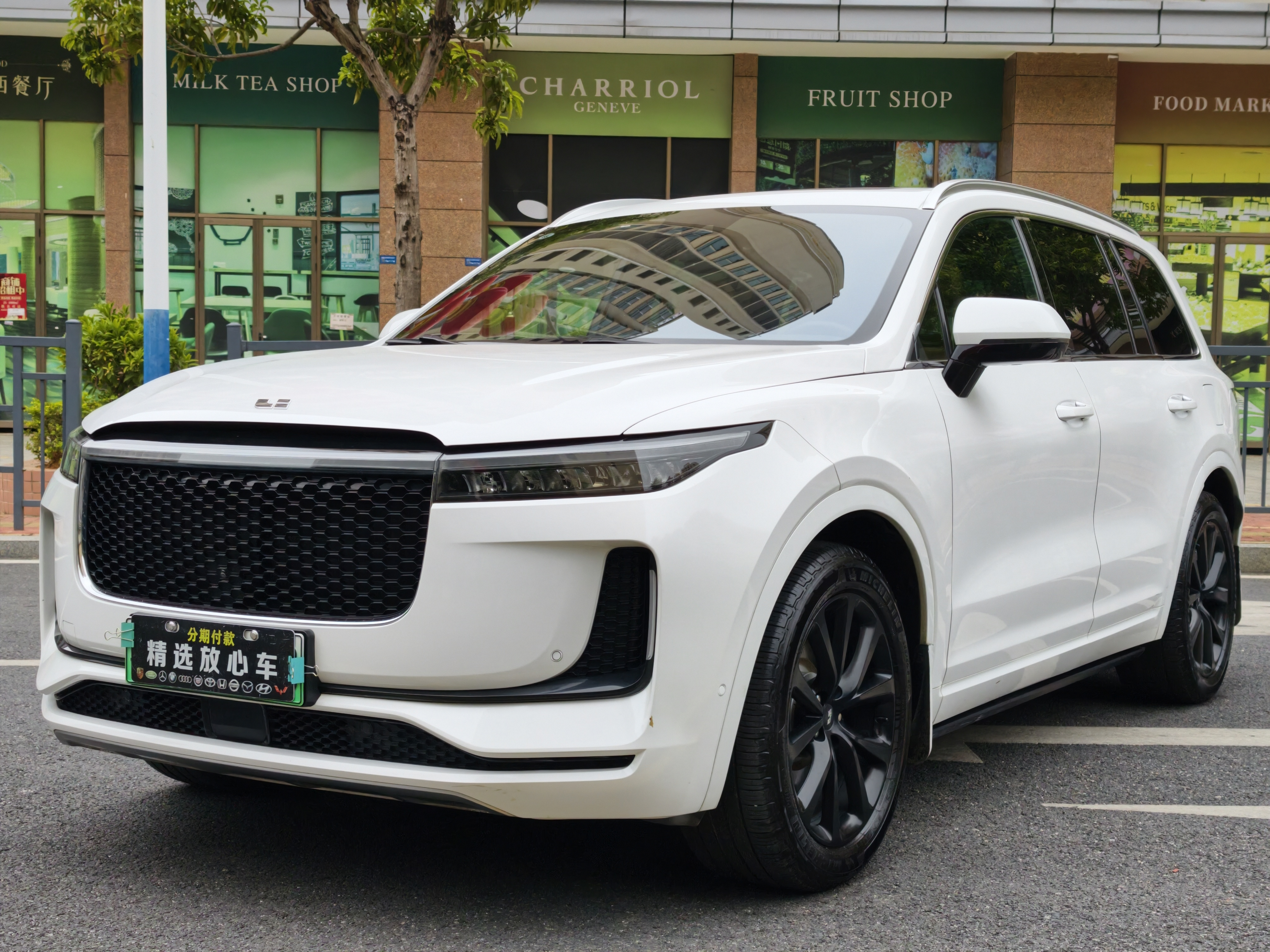 Li One 2020 汽车图片 