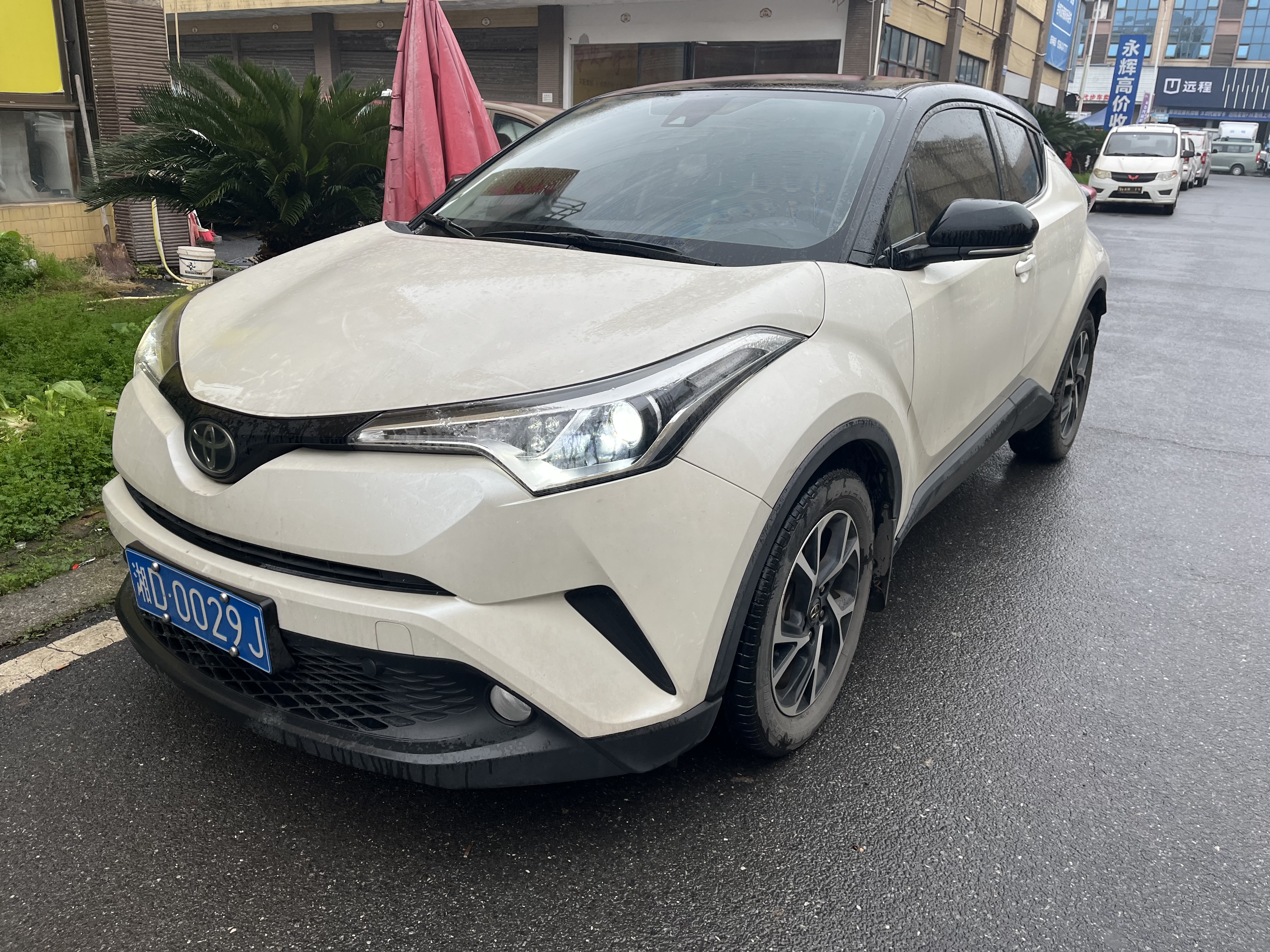 Toyota C-HR 2021 汽车图片 