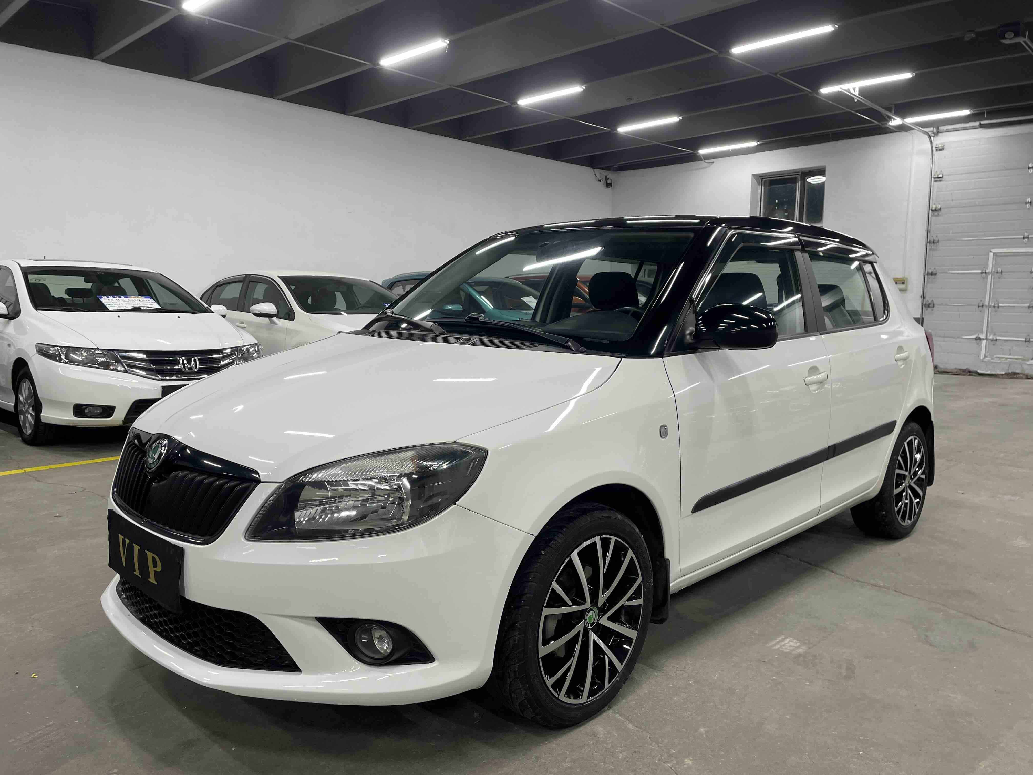 Skoda Fabia 2013 изображение автомобиля 