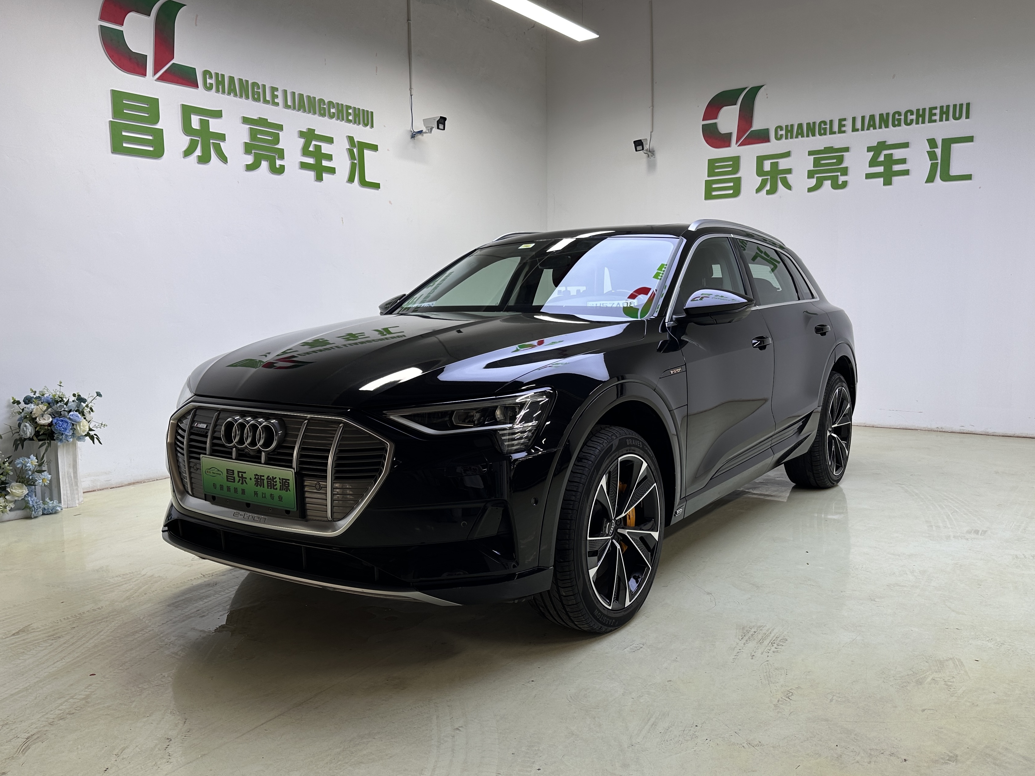 Audi e-tron (Imported) 2020 car image 