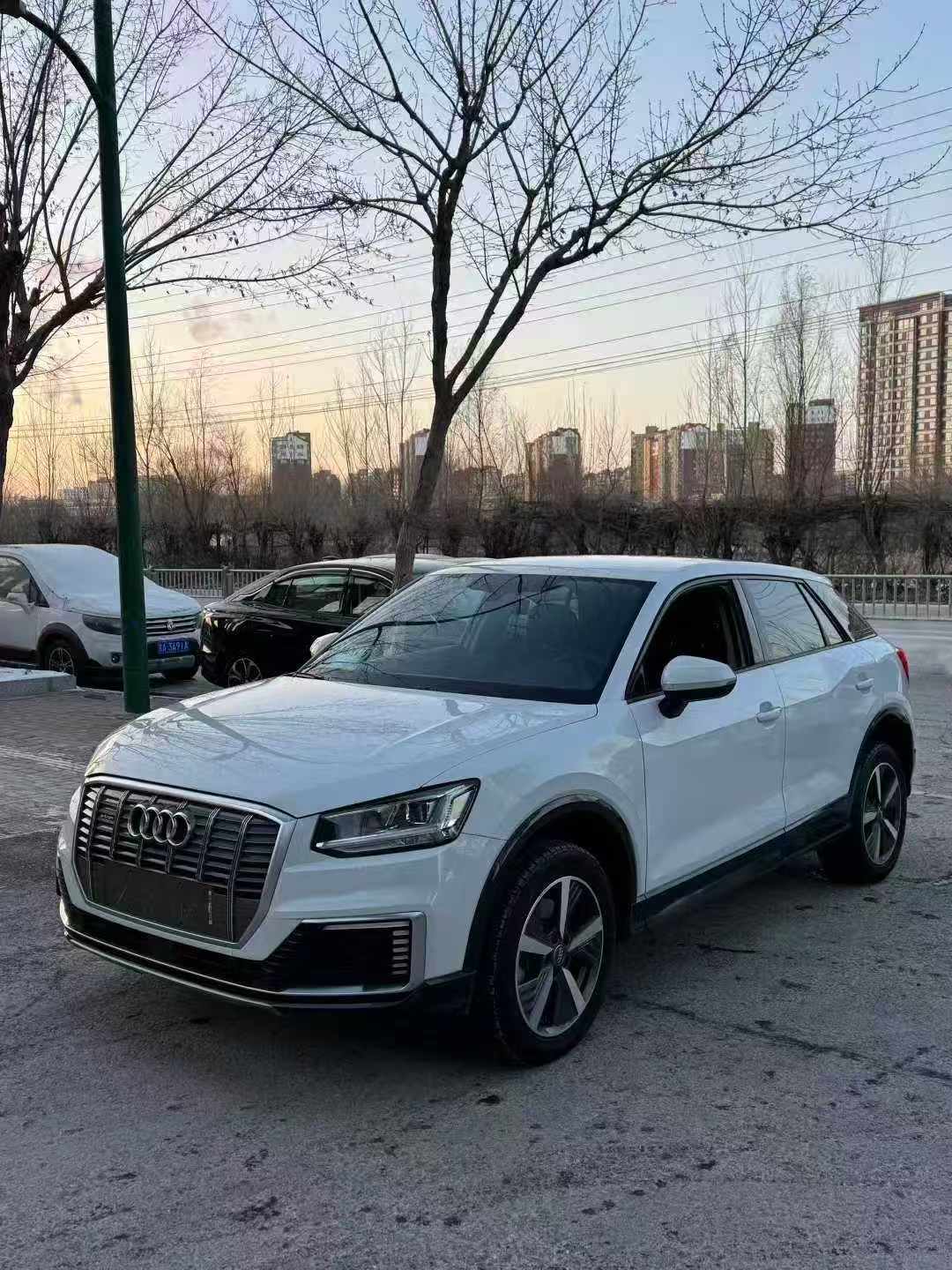 Audi Q2L e-tron 2021 car image 