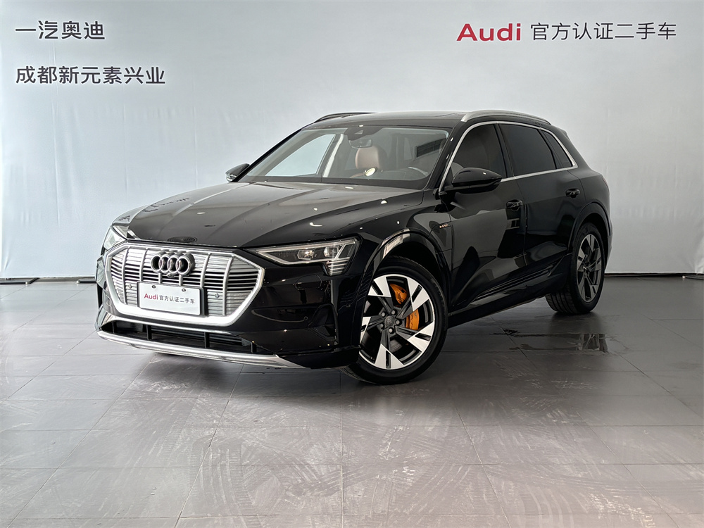 Audi e-tron (Imported) 2020 car image 