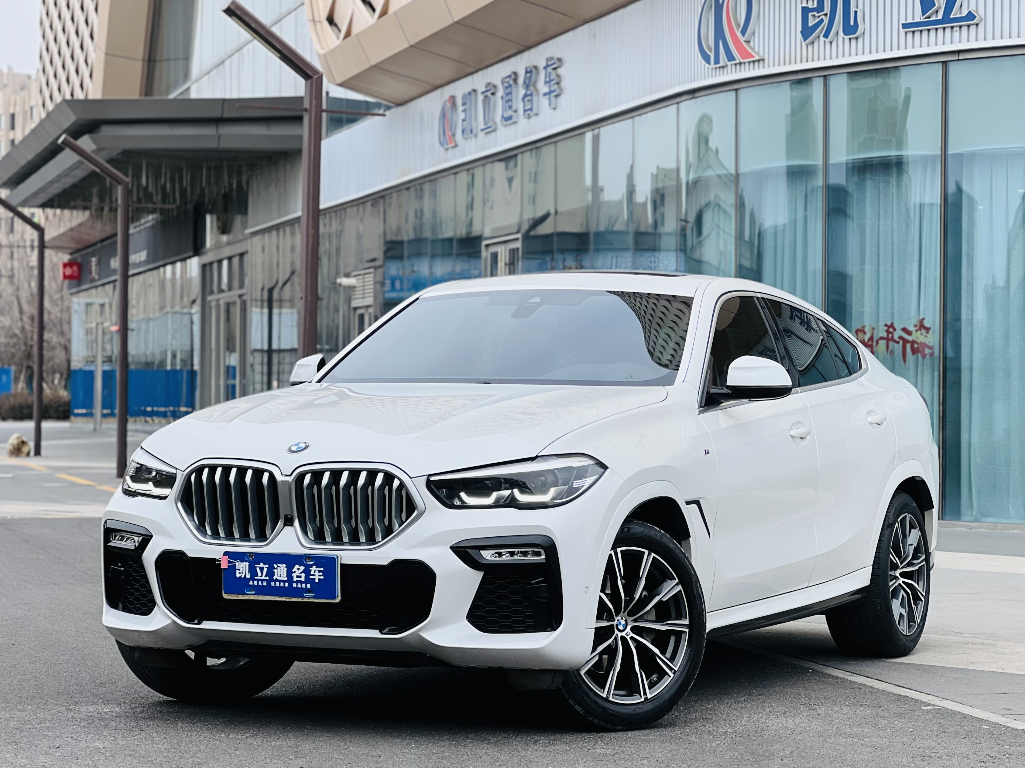 BMW X6 2020 car image 