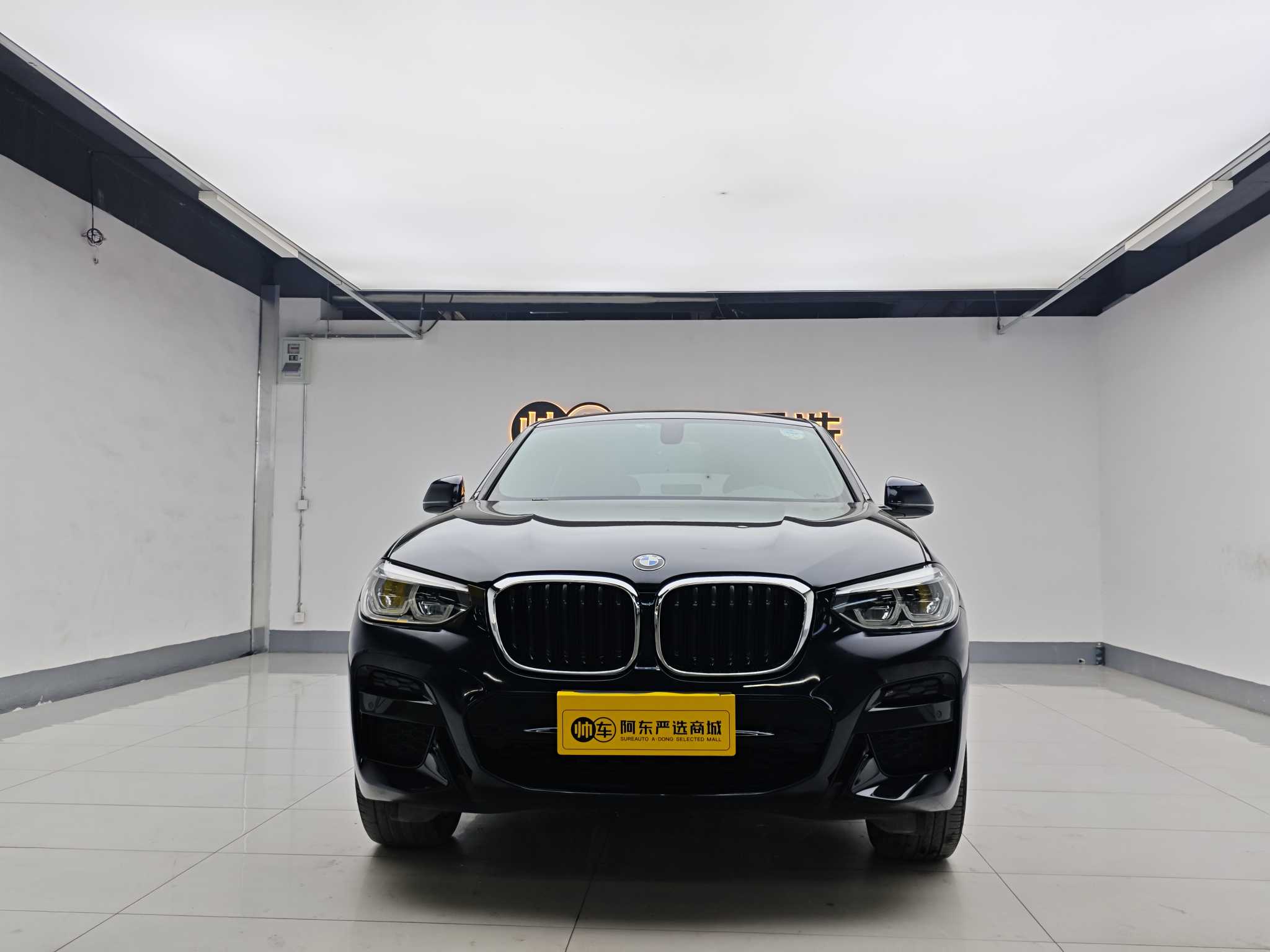 BMW X4 2020 immagine di auto 