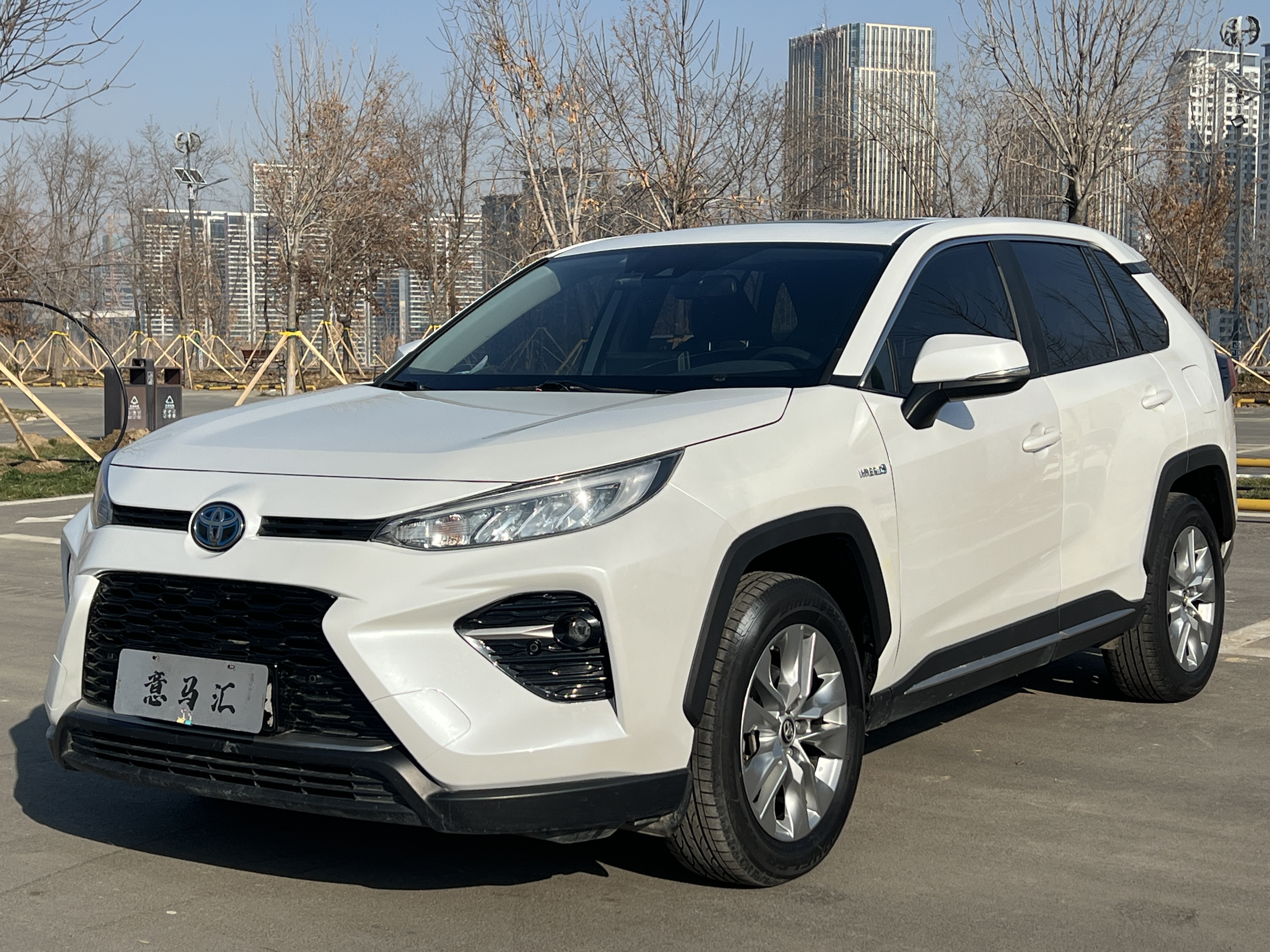 Toyota Wildlander 2020 Toyota Wildlander 2020 汽车图片