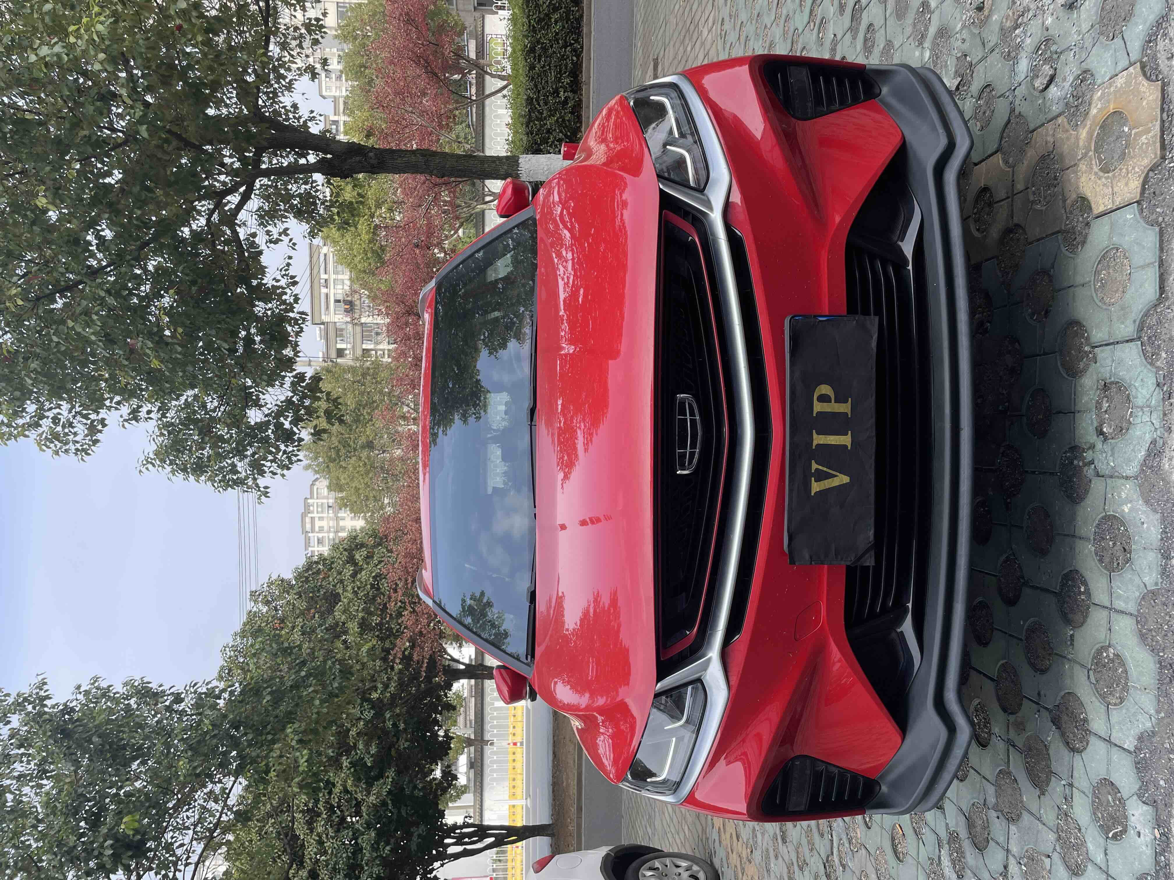 GEELY Coolray 2021 immagine di auto 
