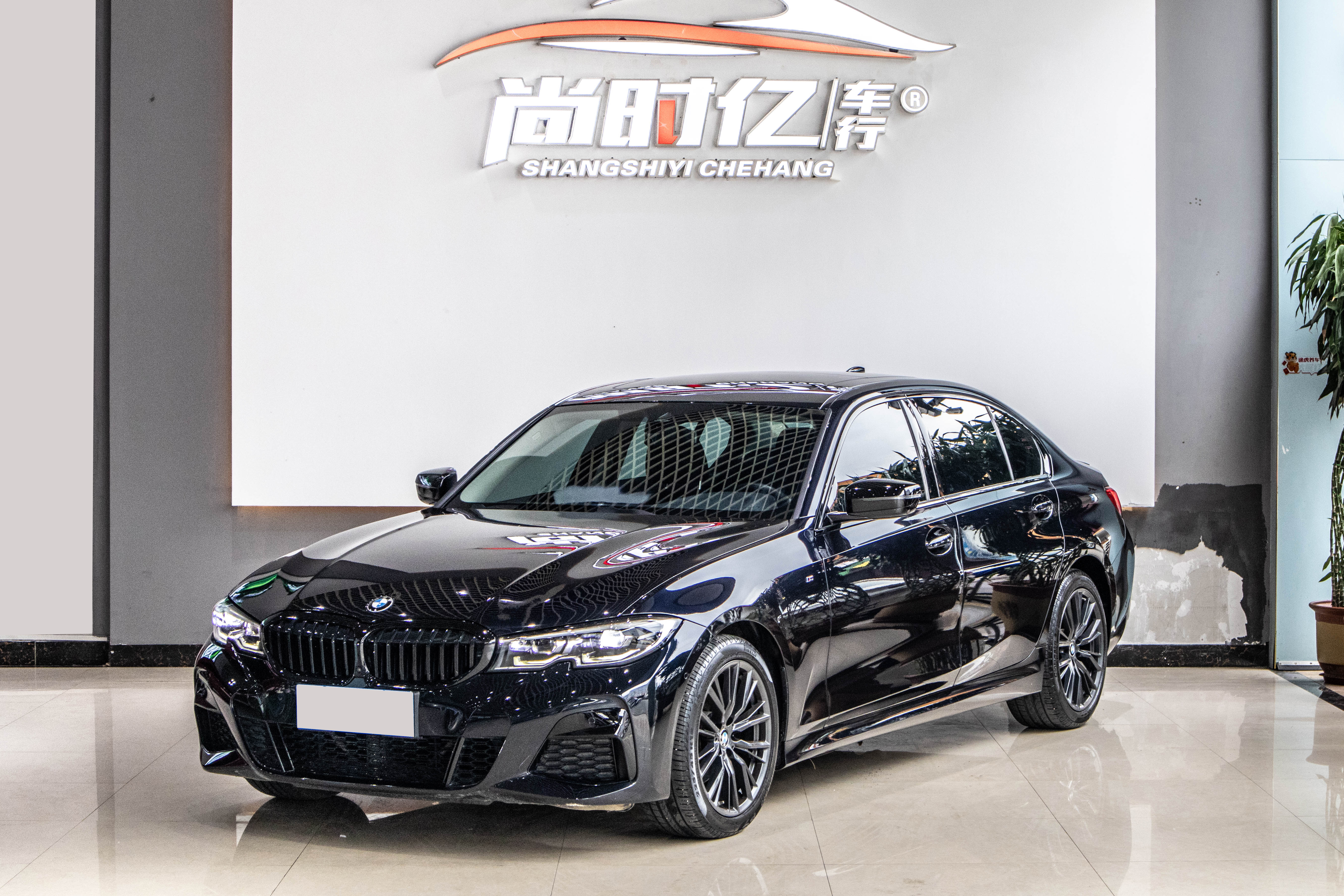 BMW 3 Series 2020 BMW 3 Series 2020 car image