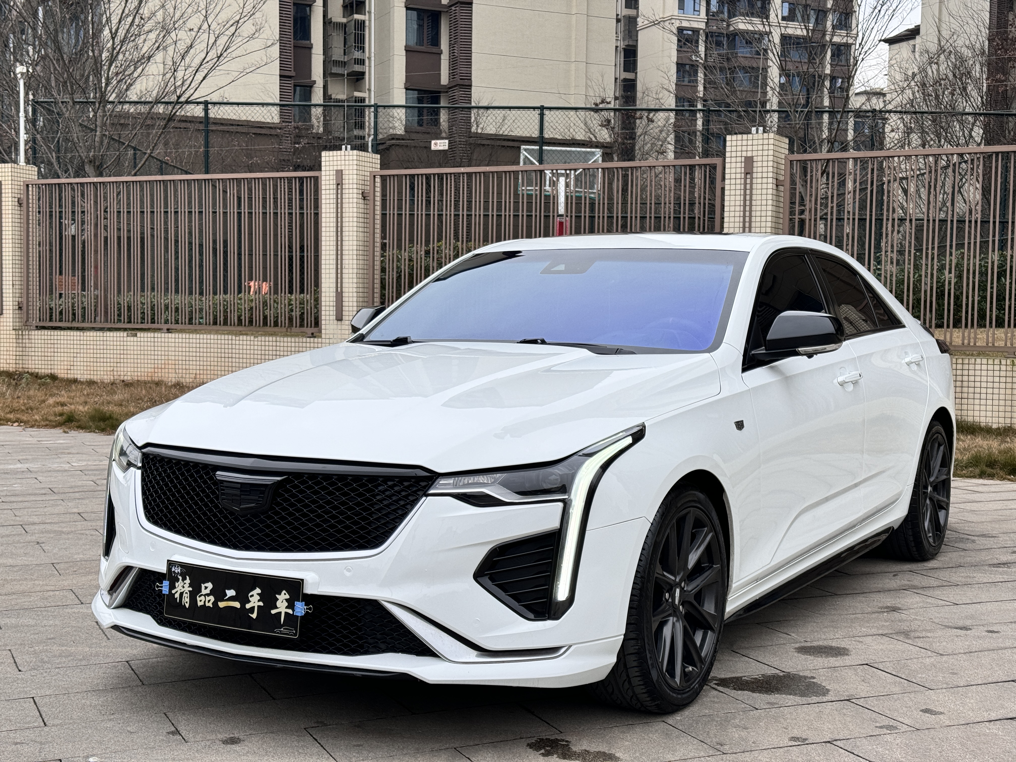 2020 immagine di auto 