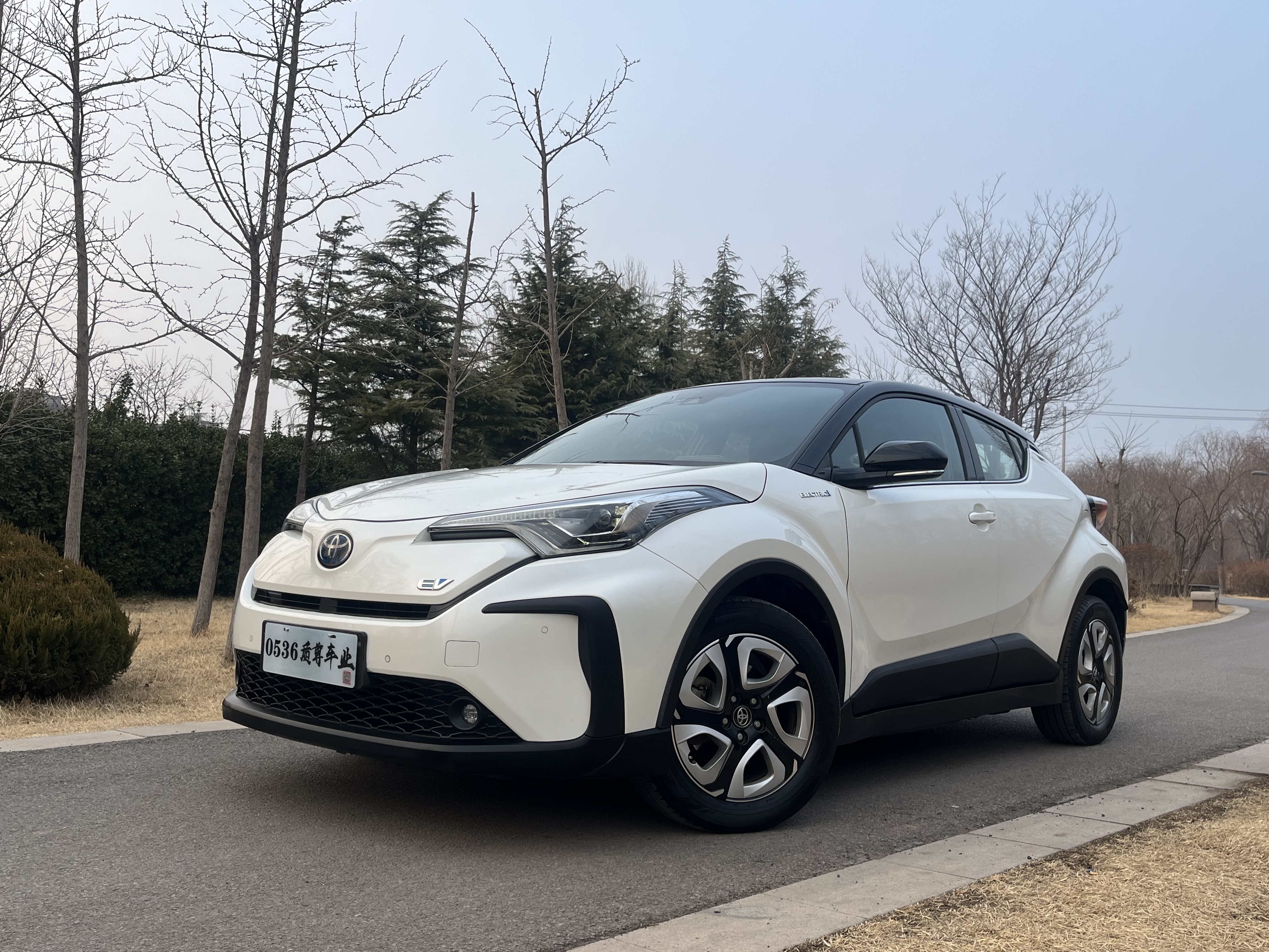 Toyota C-HR EV 2020 imagem de carro 