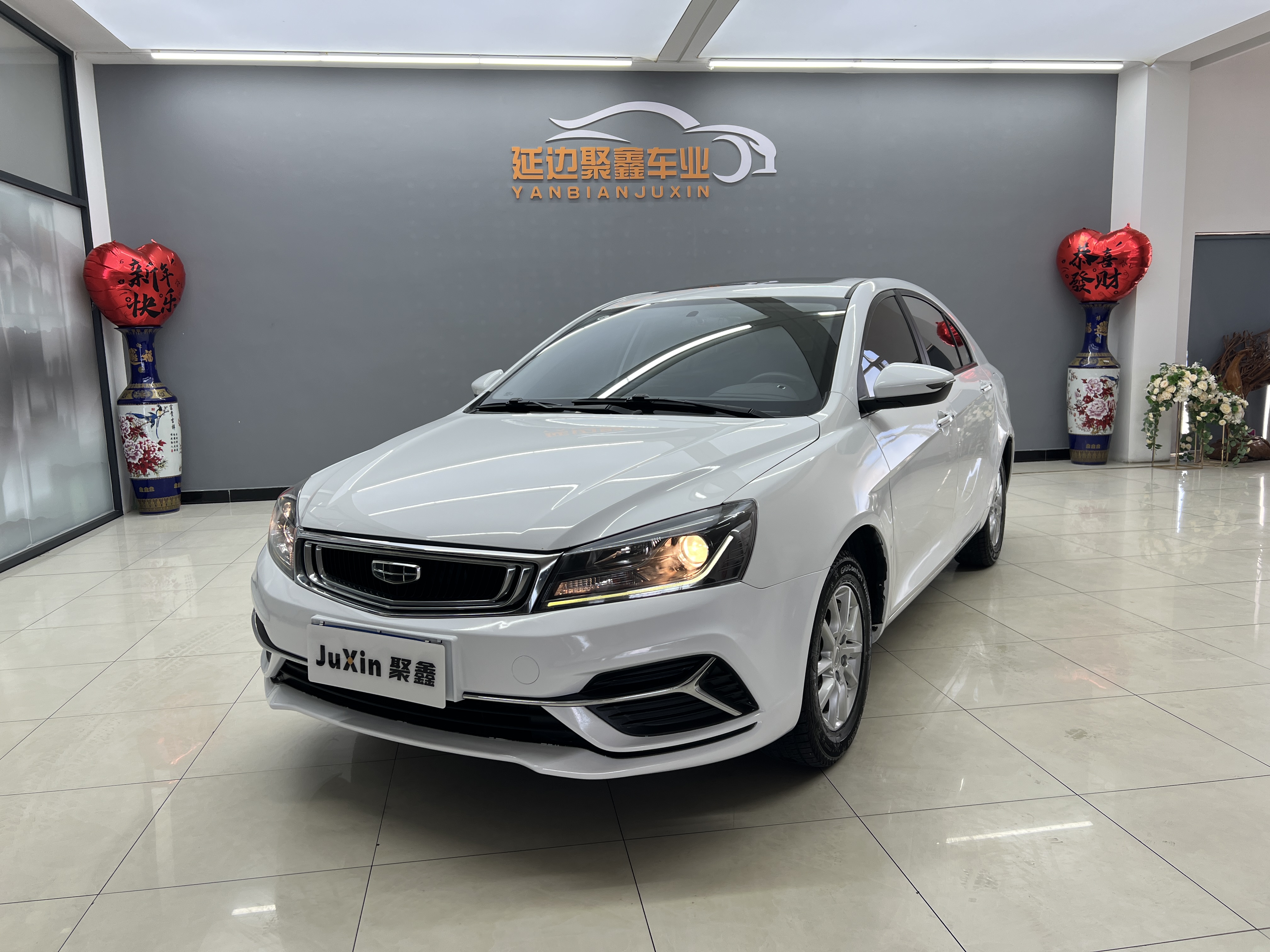 Emgrand 2020 Emgrand 2020 car image