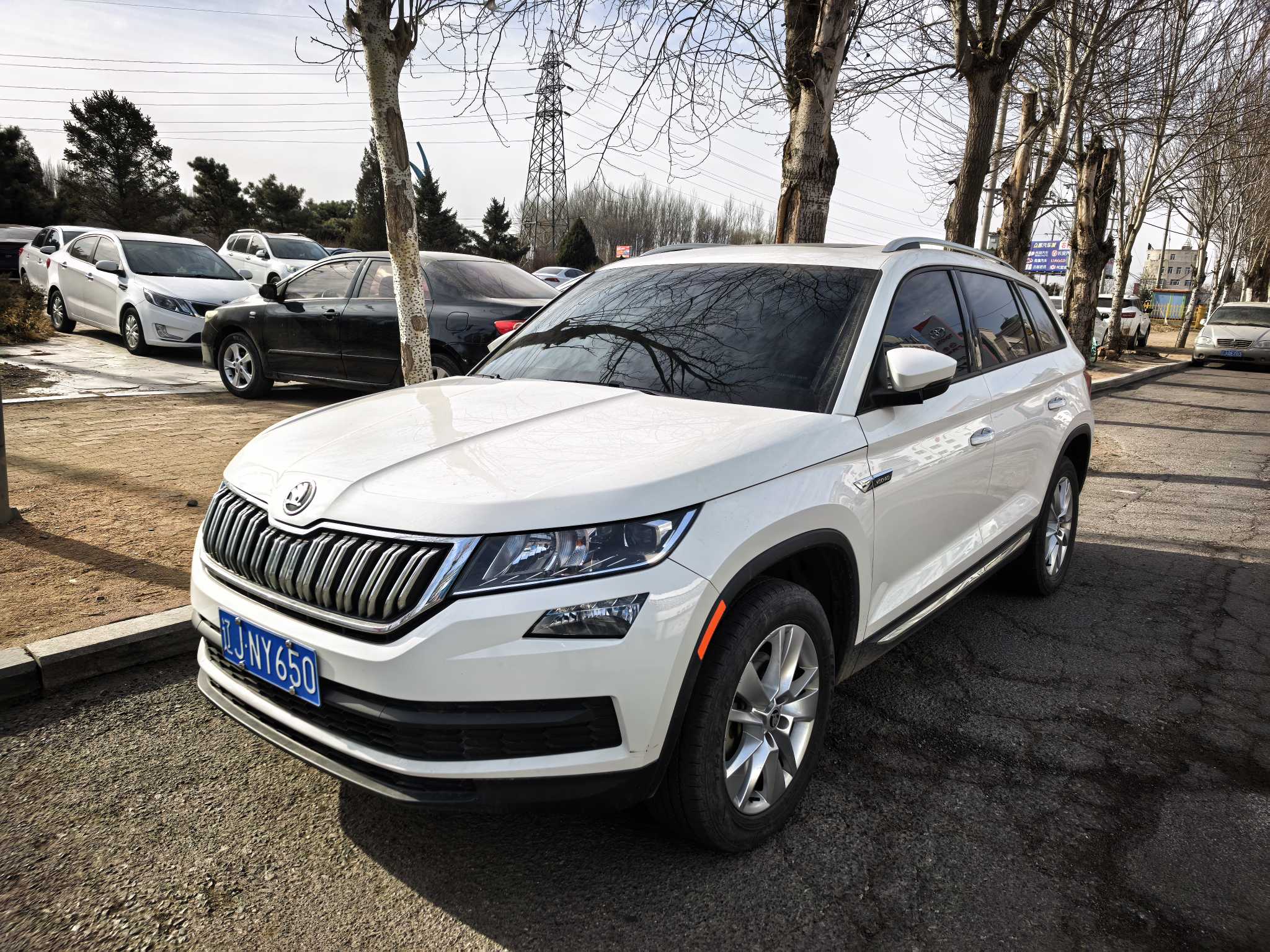 Skoda Kodiaq 2020 изображение автомобиля 