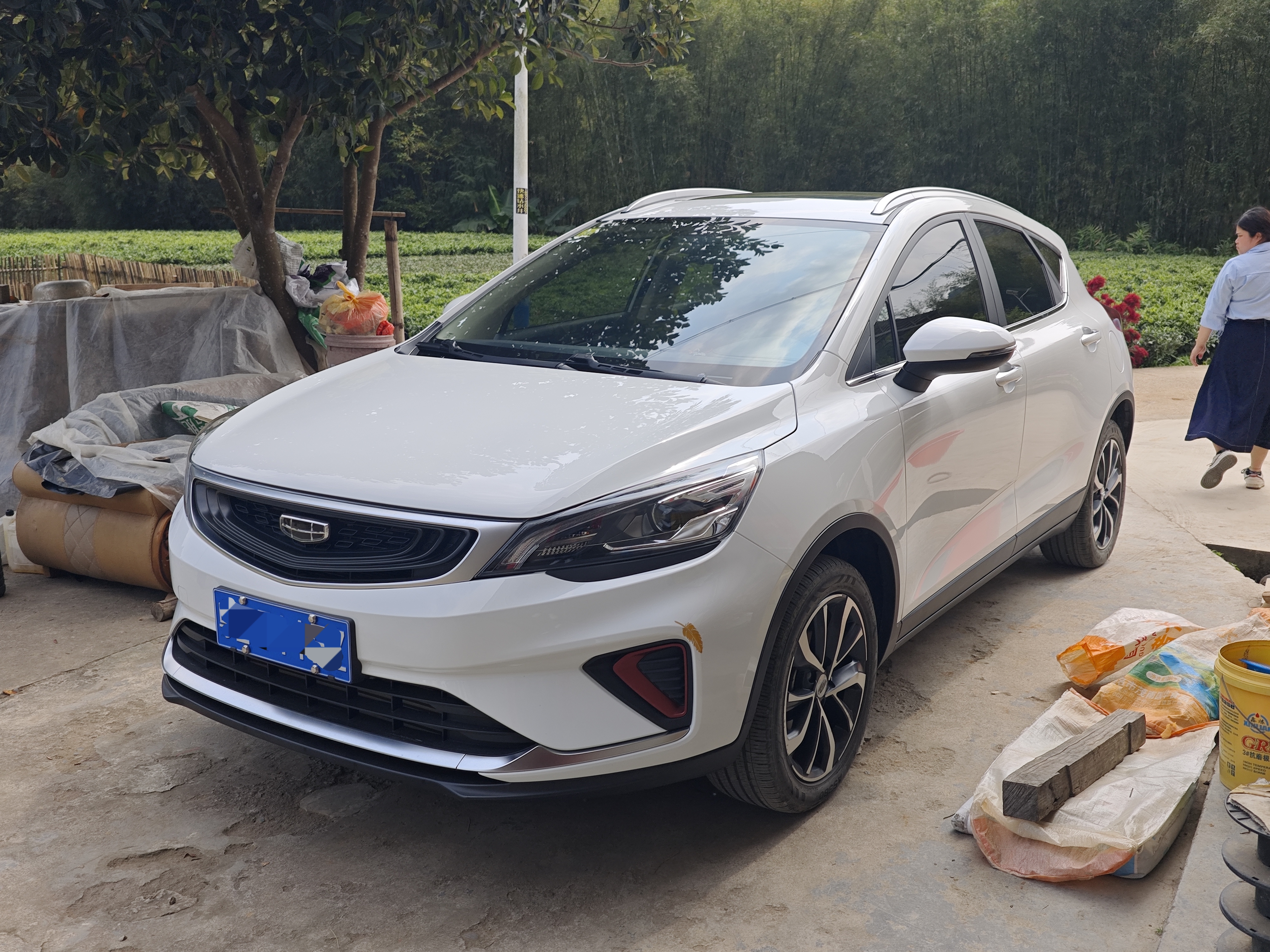 Emgrand GS 2021 car image 