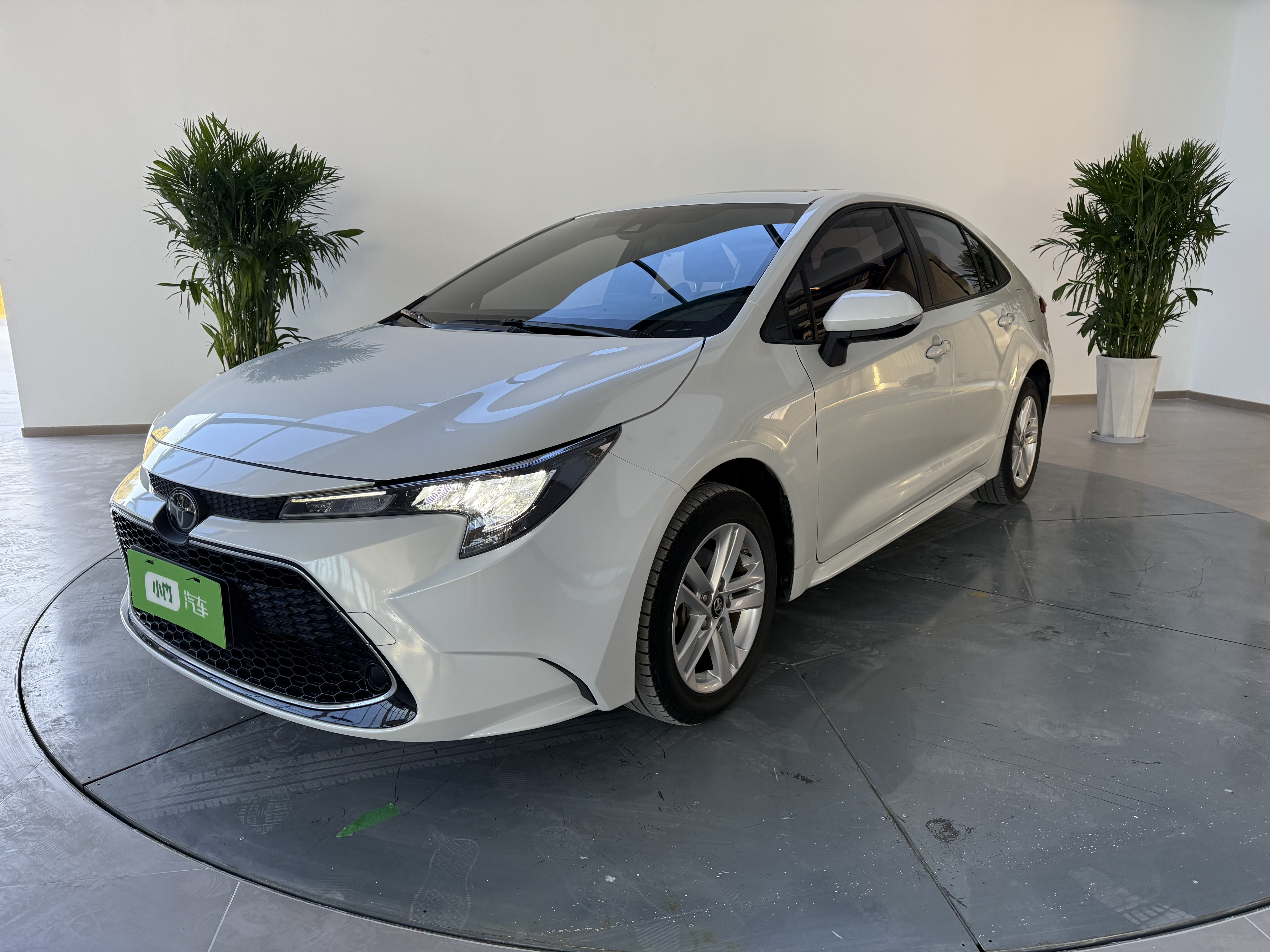 Toyota Levin 2021 imagen de coche 
