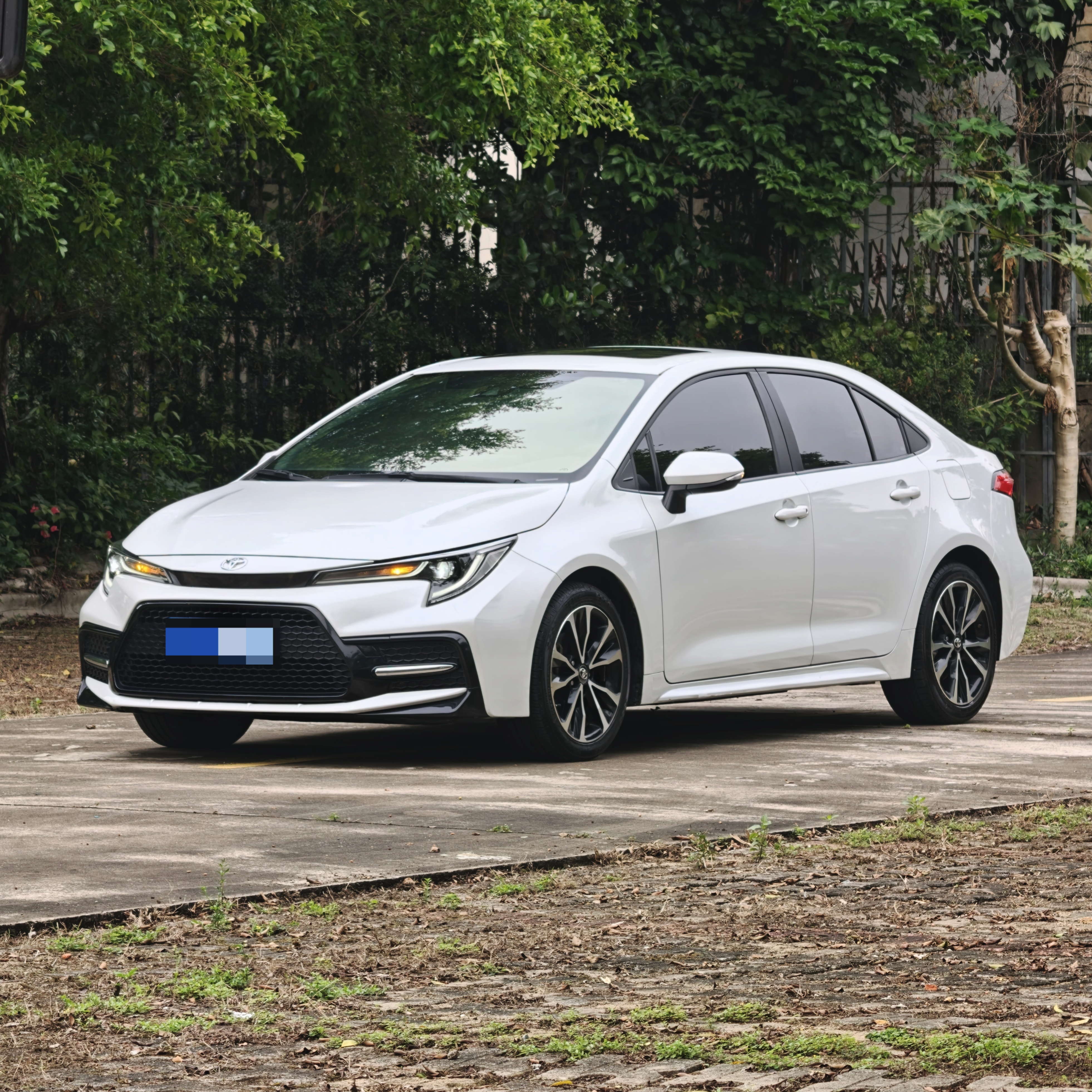 Toyota Levin 2021 汽车图片 