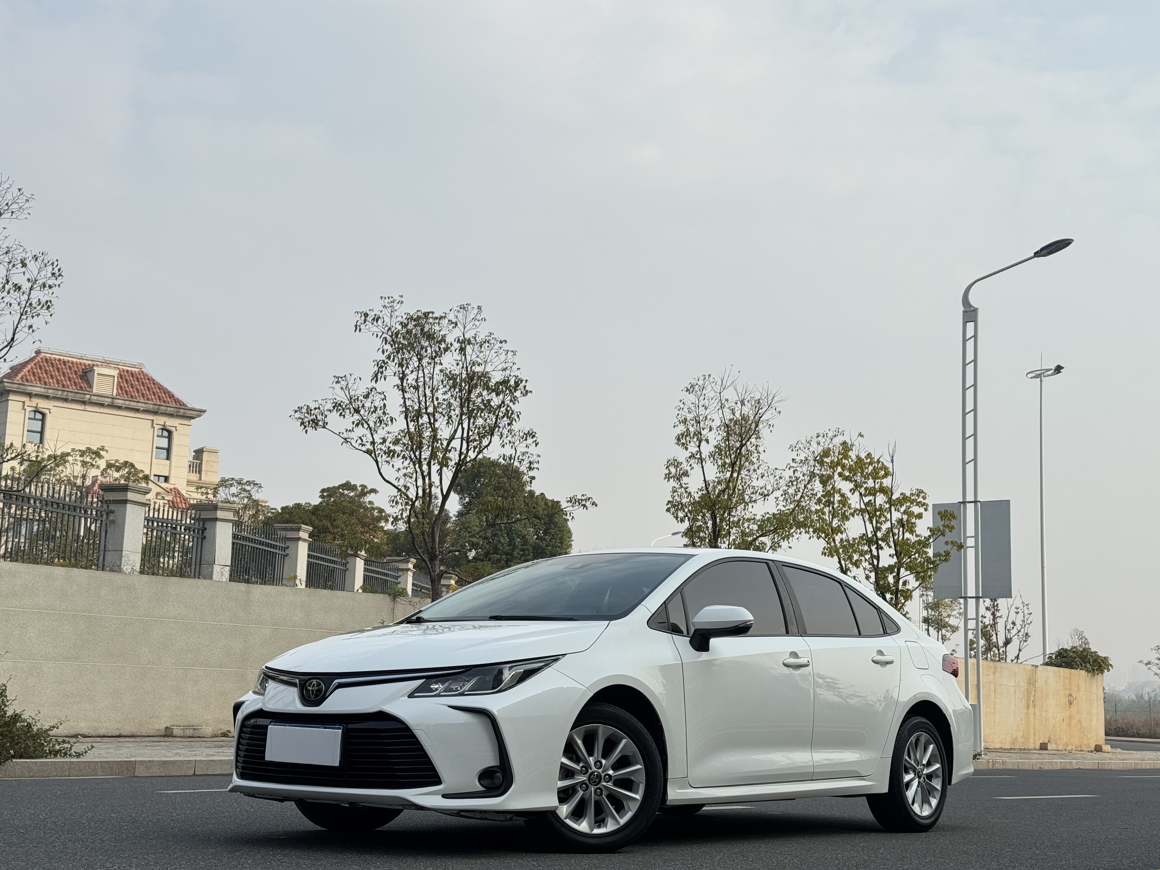 Toyota Corolla 2021 car image 