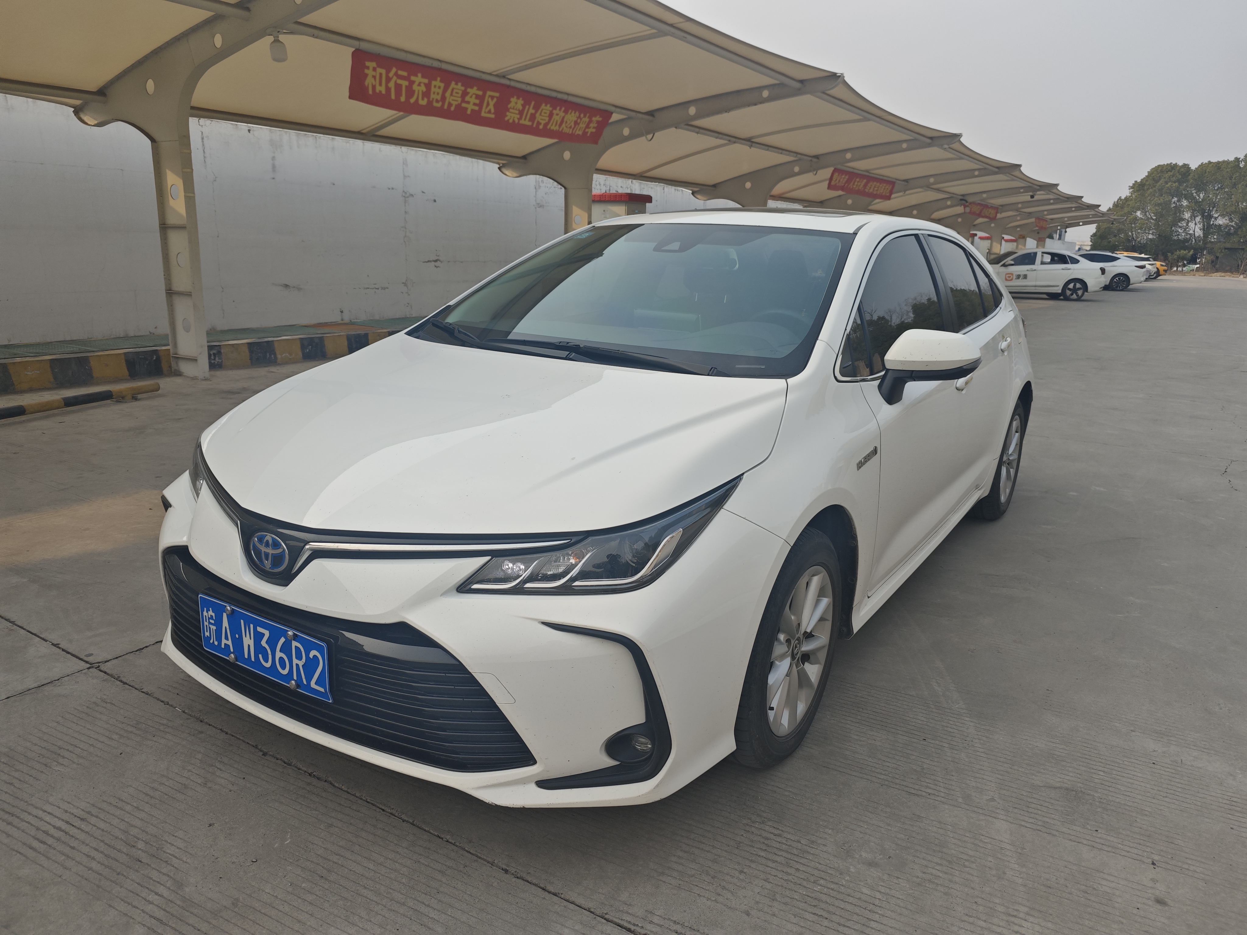 Corolla 2023 immagine di auto 