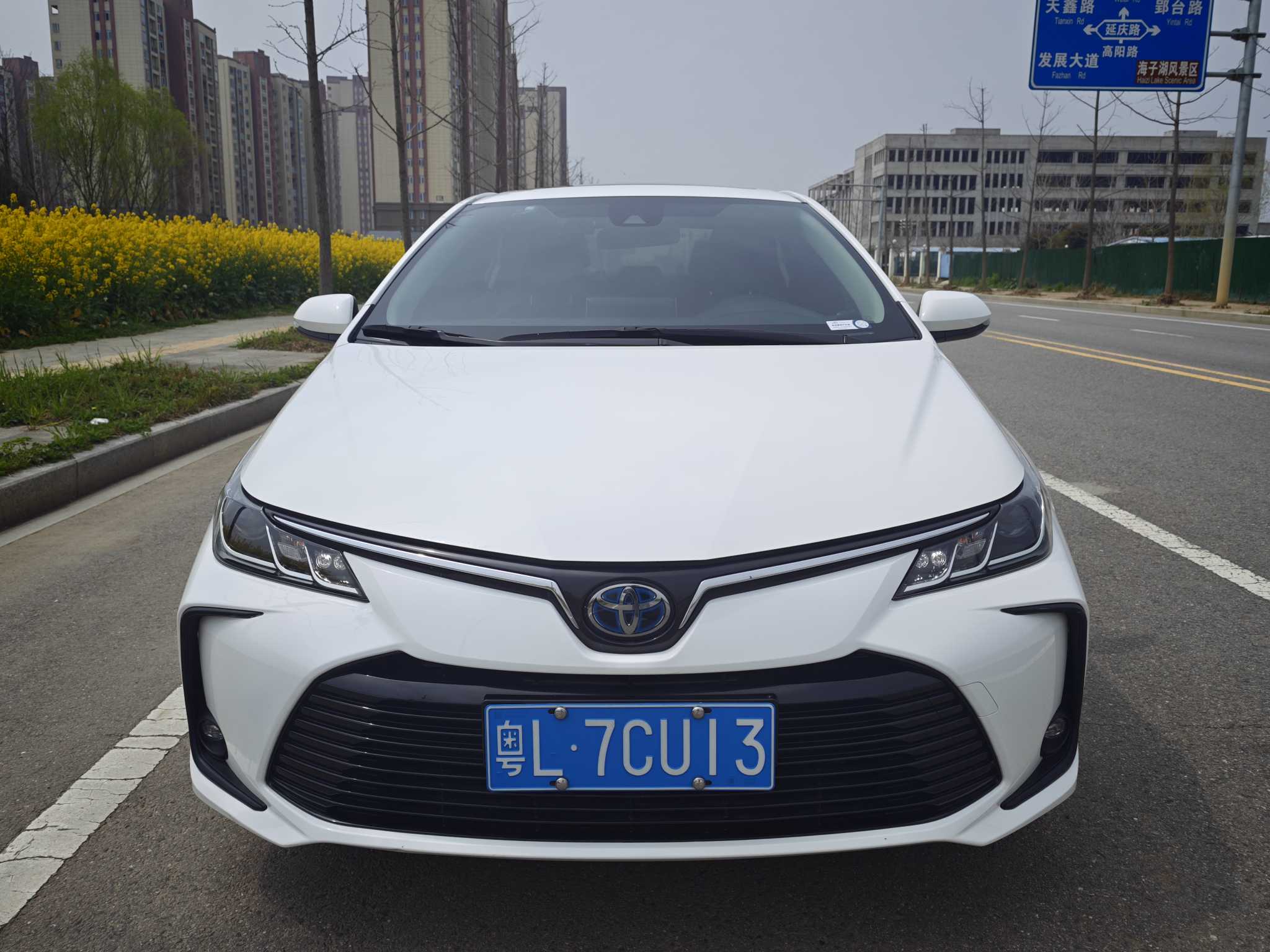 Corolla 2022 Corolla 2022 car image